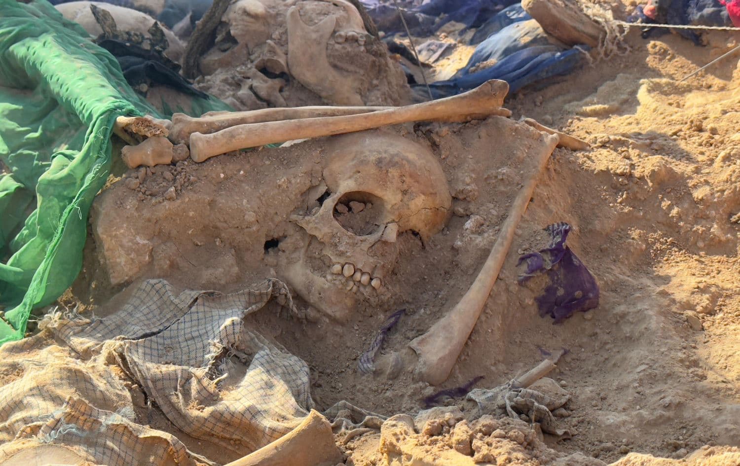 A human skull in a mass grave in Muthanna province, Iraq on December 22, 2024. Photo: Rudaw 