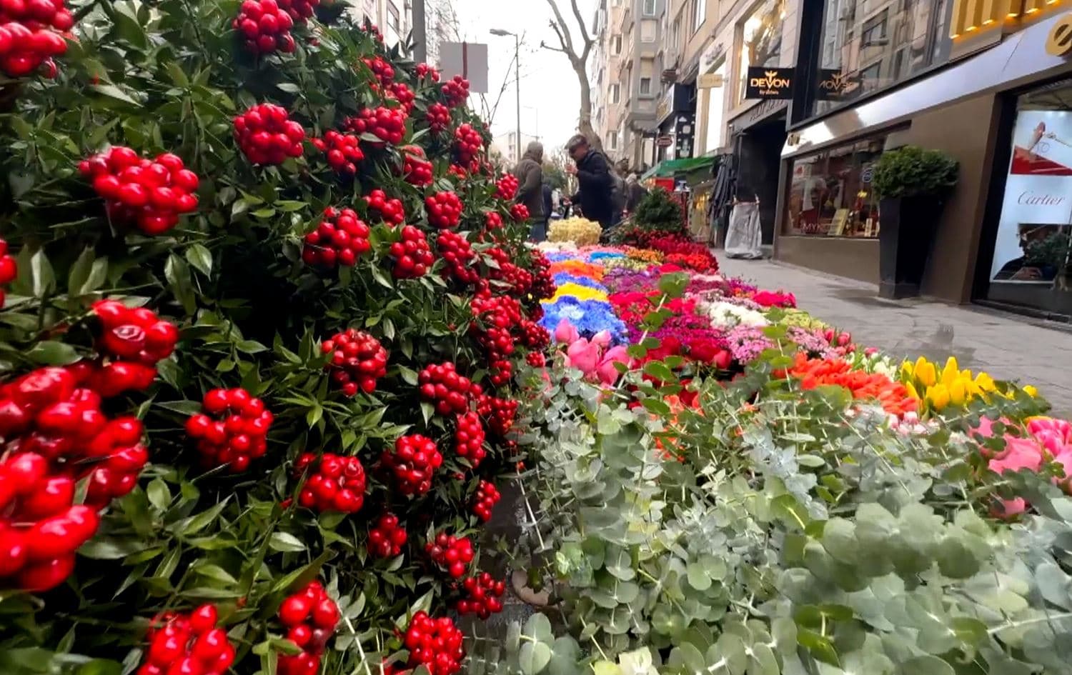 Kokina: Turkey’s symbolic holiday flower