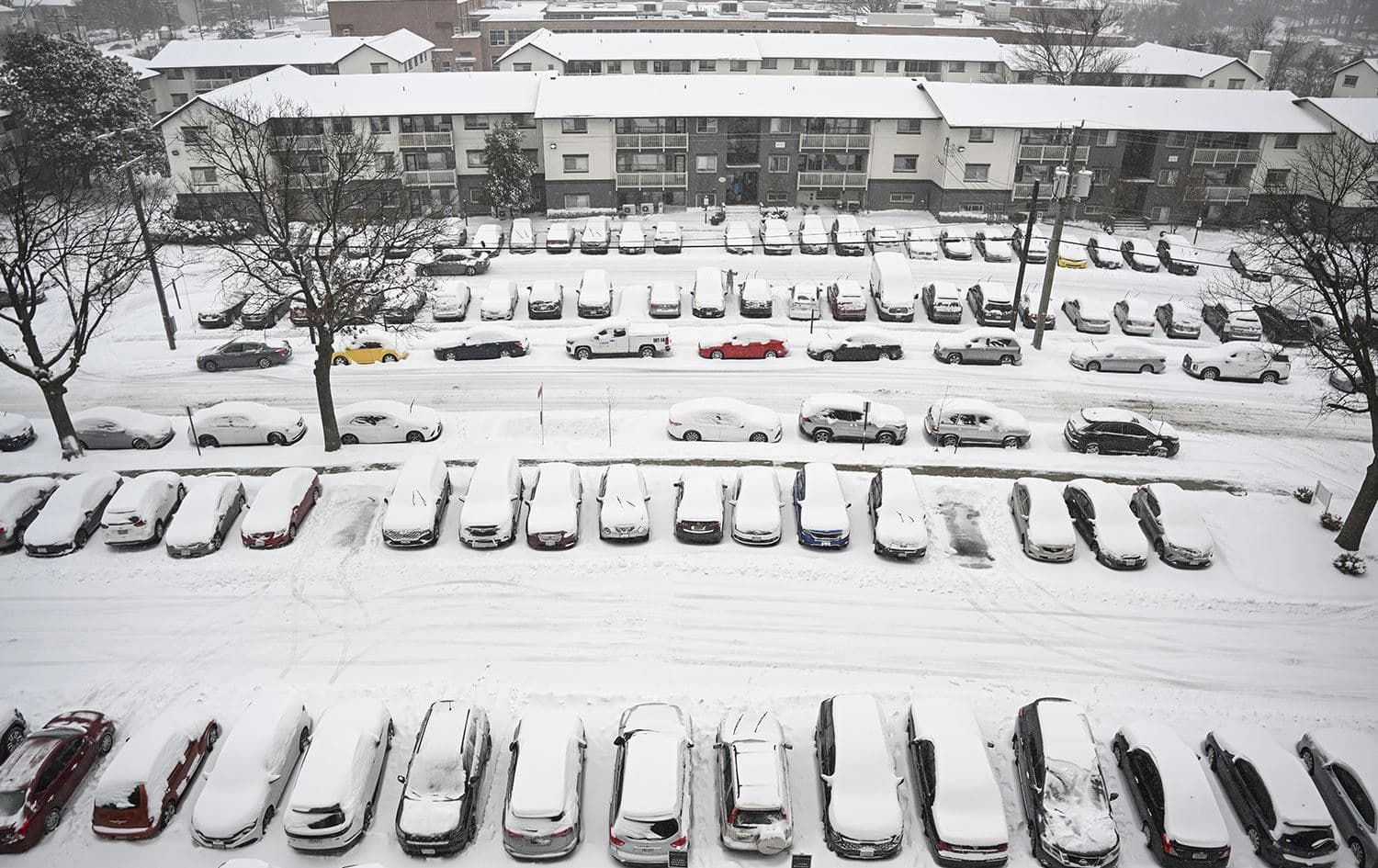 ABD'de yoğun kar yağışı Foto: AA
