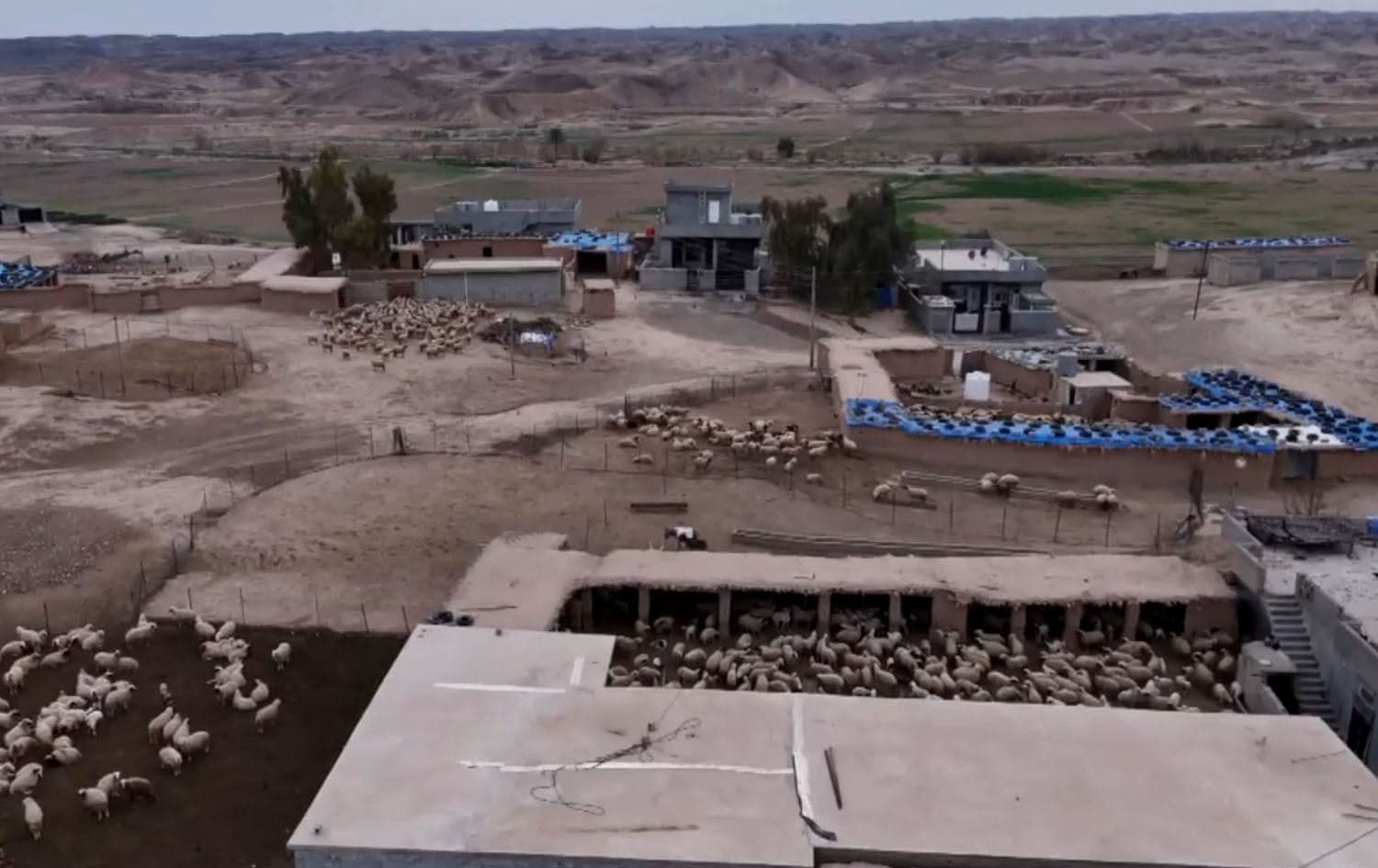 Duraj village in Salahaddin province on February 19, 2025. Photo: screengrab/Rudaw