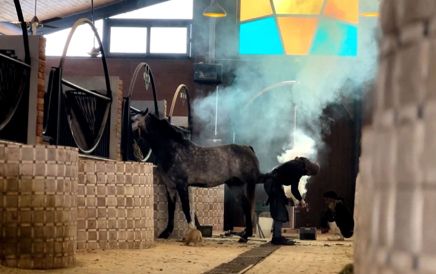 Horseshoeing craft in Kurdistan Region on the rise