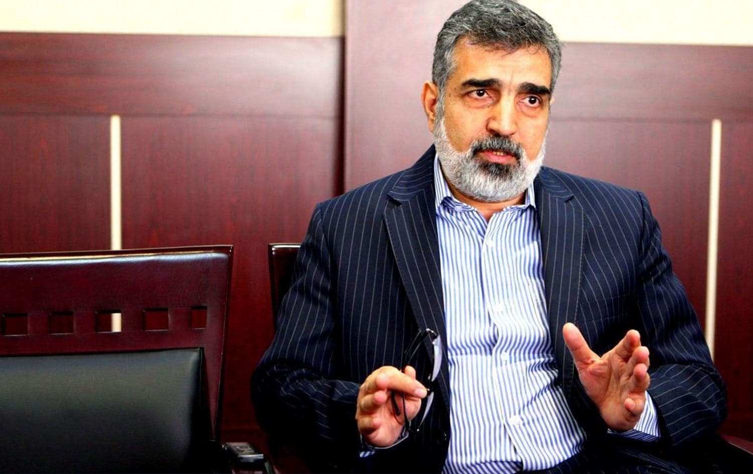 Behrouz Kamalvandi, spokesperson for the Atomic Energy Organization of Iran, on March 23. 2025. Photo: IRNA