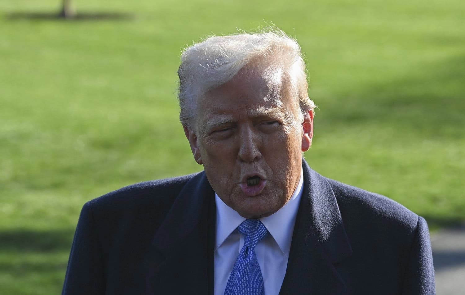 ABD Başkanı Donald Trump / Foto: AA
