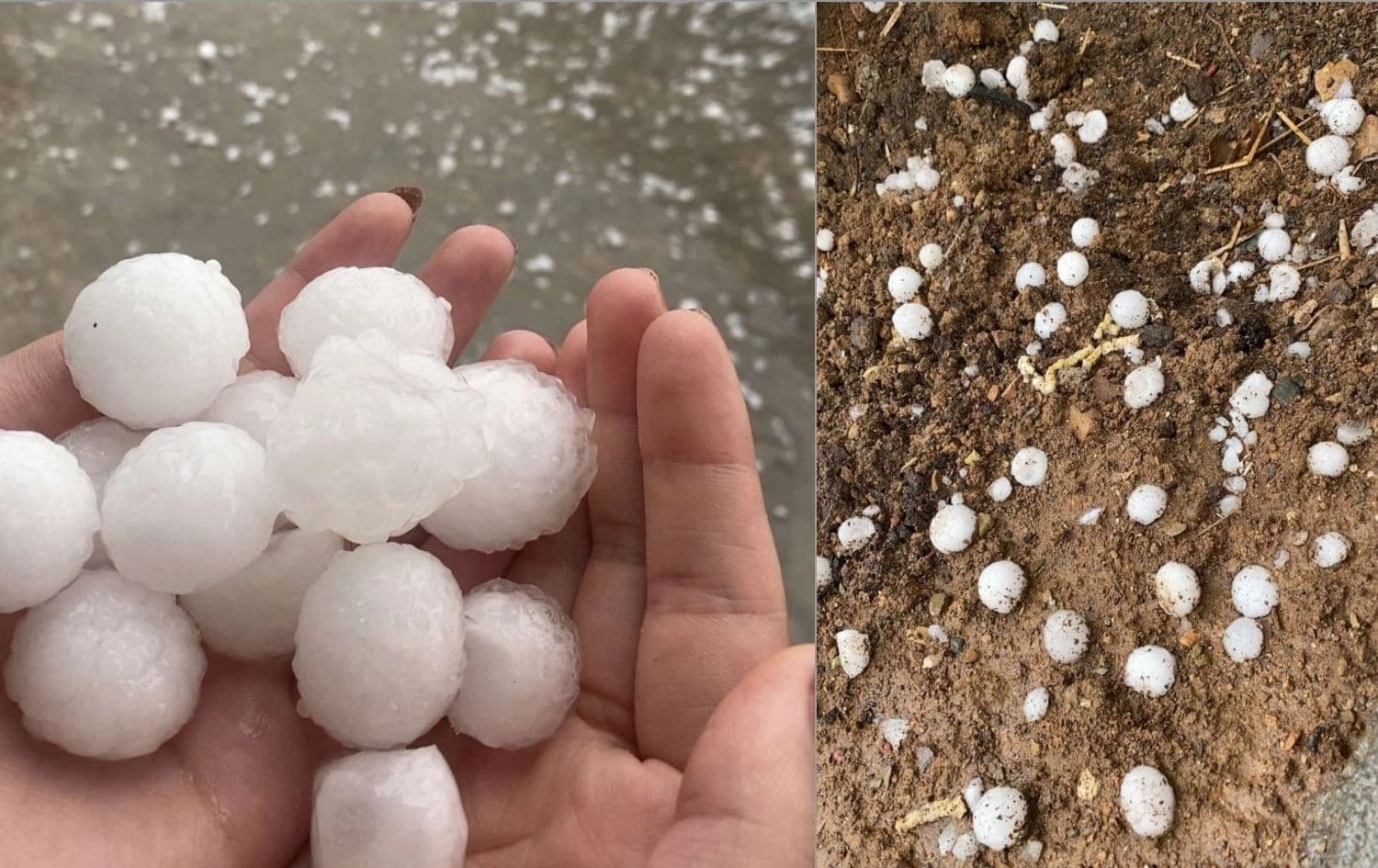 Large hailstones caused injuries and property damage in Soran on Saturday. Photo: submitted