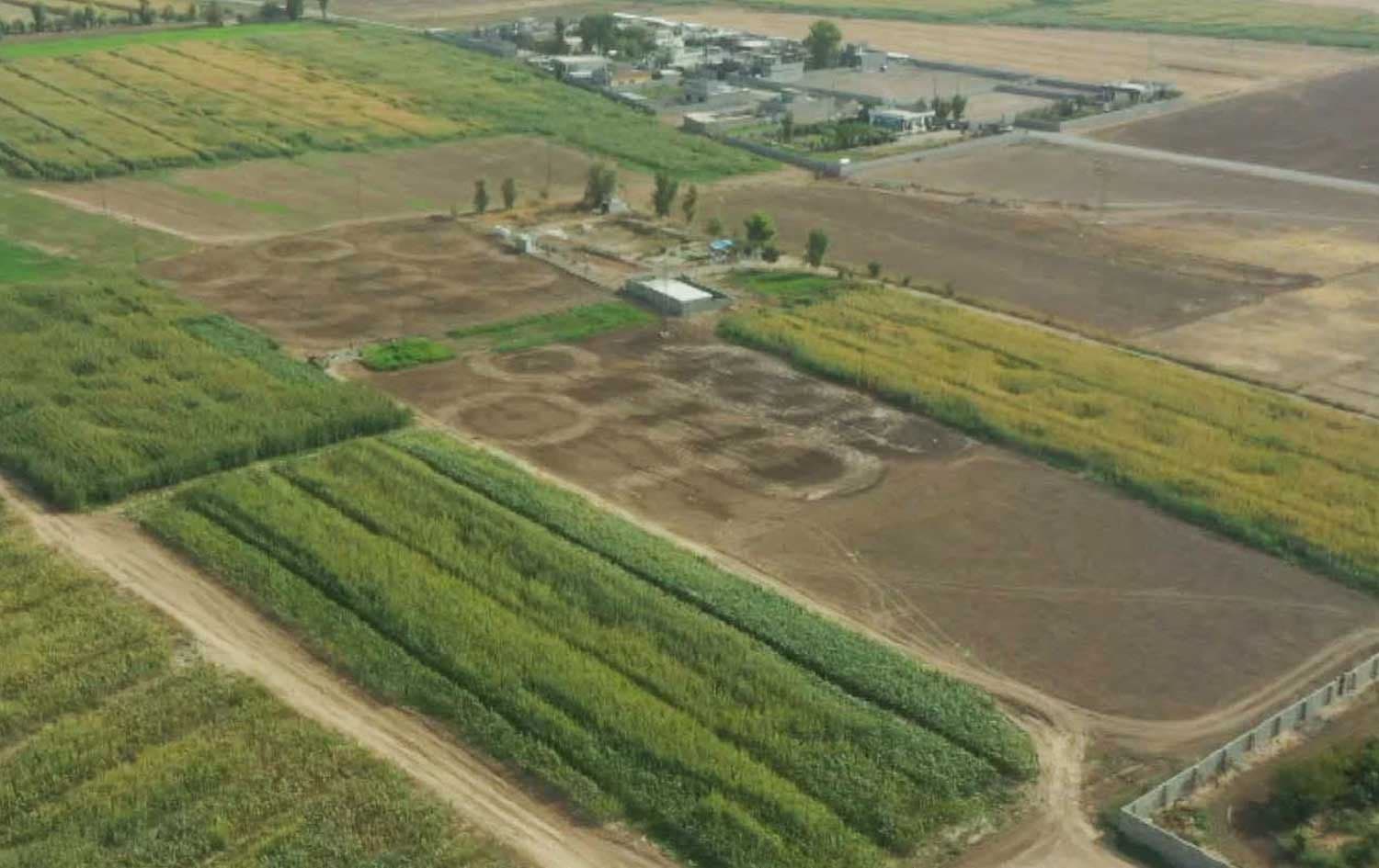 Kirkuk agricultural lands. File photo/Rudaw