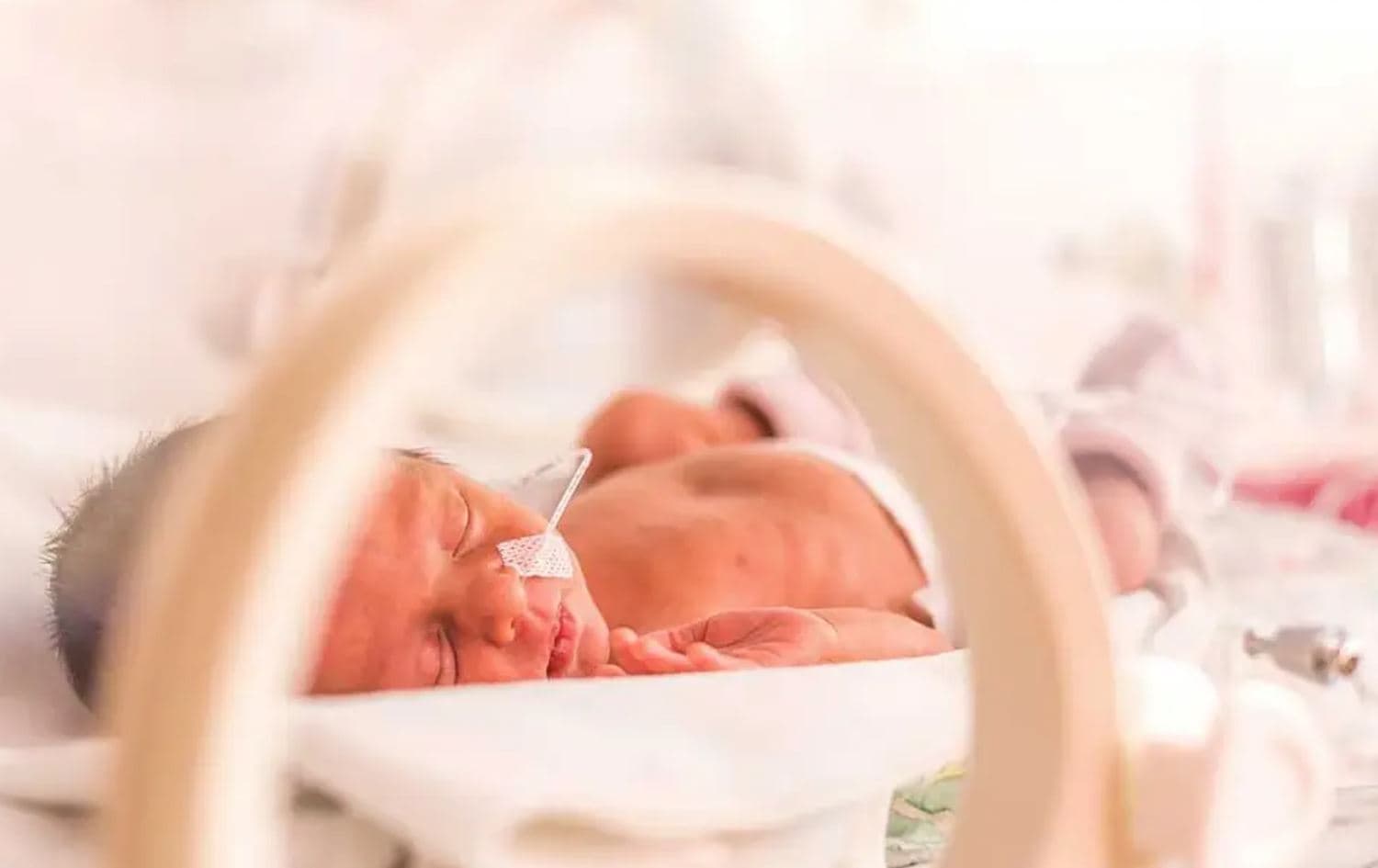منداڵێکی تازەلەدایکبوو. وێنە: HealthLine