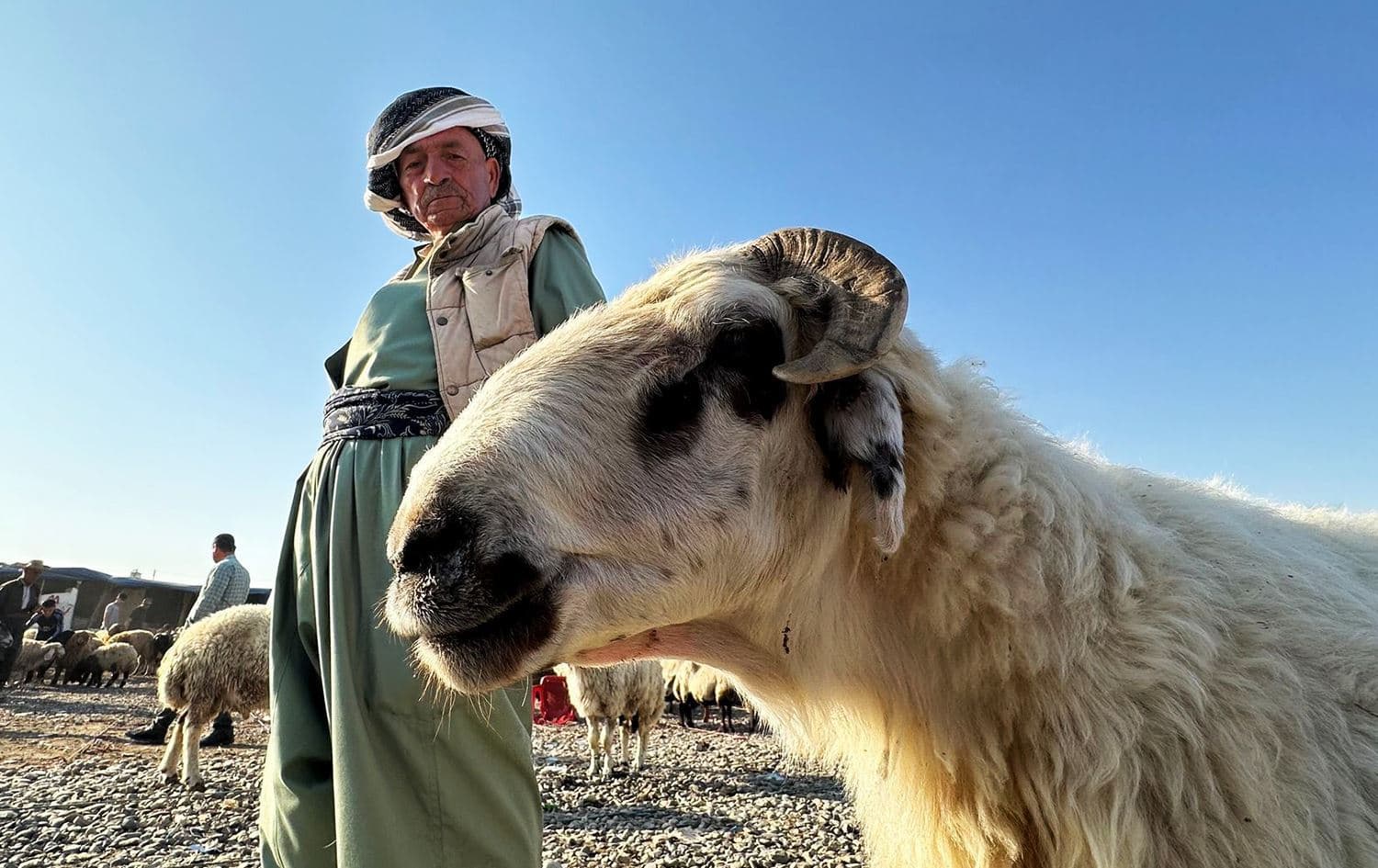 دیمەنێک لە مەیدانی کڕین و فرۆشتنی ئاژەڵ لە زاخۆ. وێنە: مەروان رەمەزان - رووداو