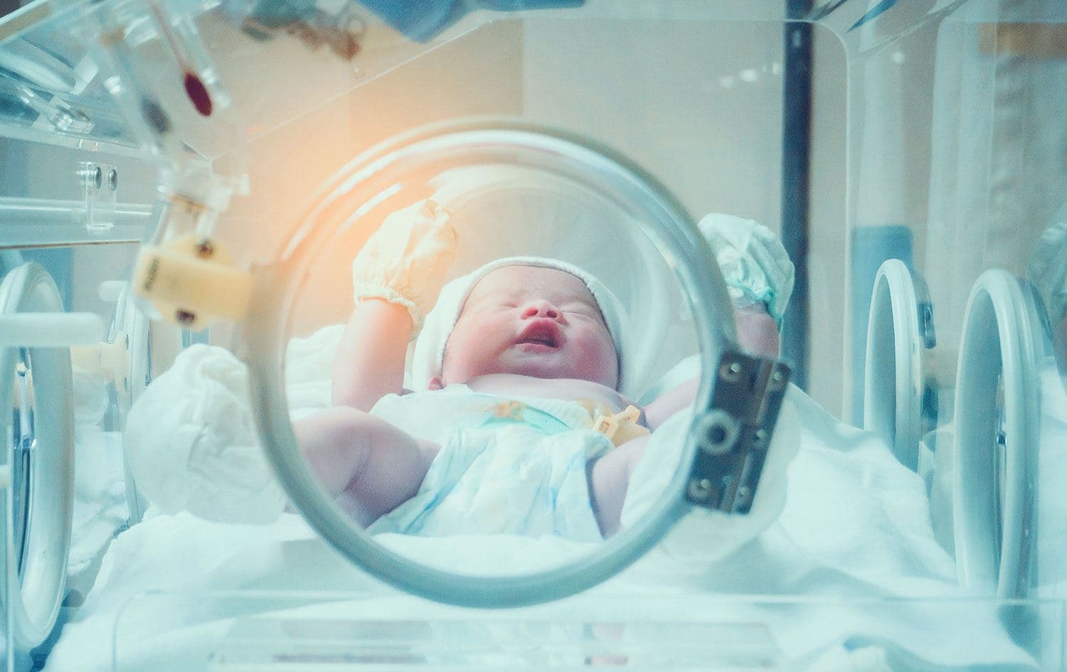 منداڵێک لەنێو شووشە دانراوە. وێنە: Preterm