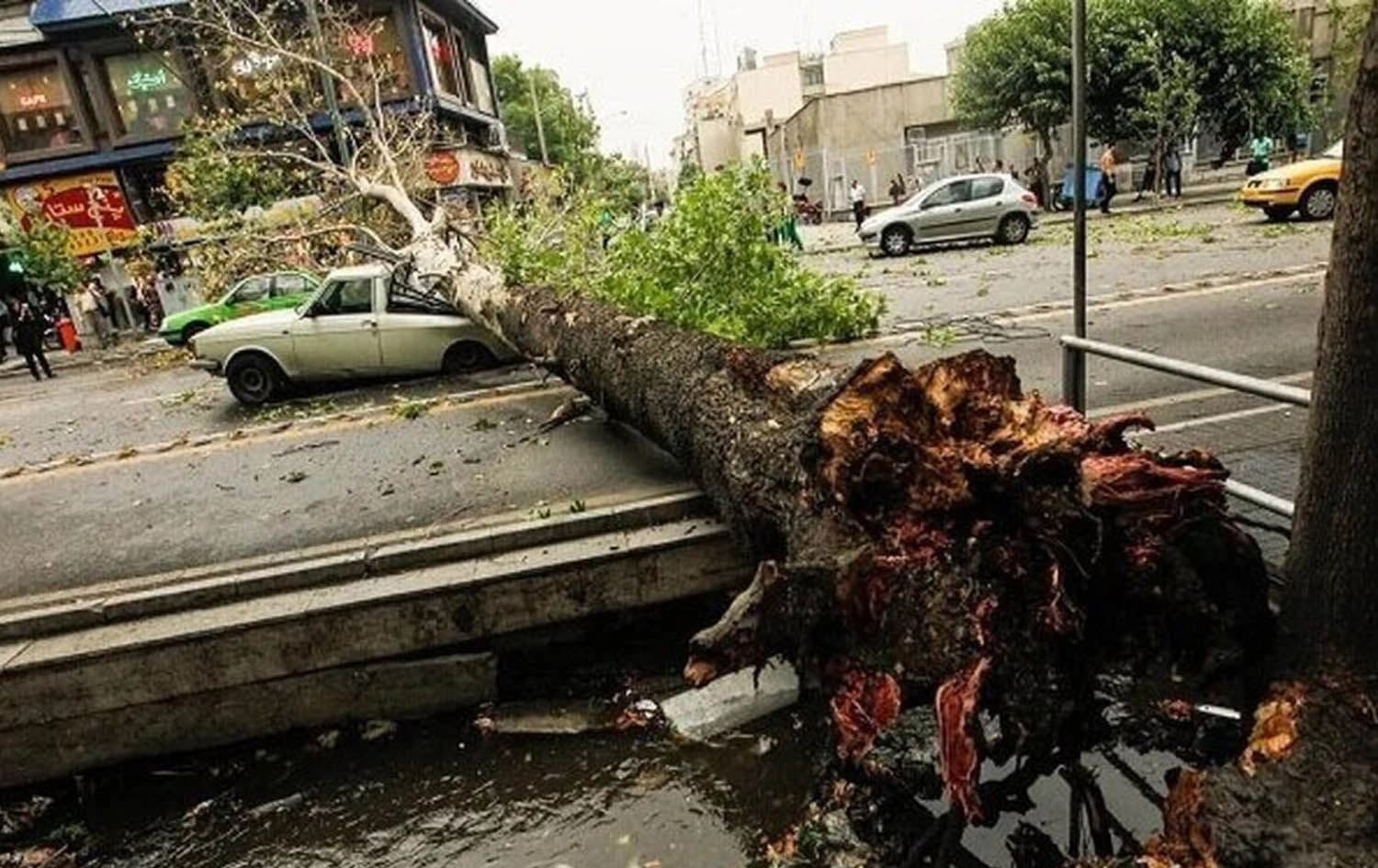 درەختێک لە شەقامێکی ئێران بەهۆی زریان و بای بەهێزەوە کەوتووە