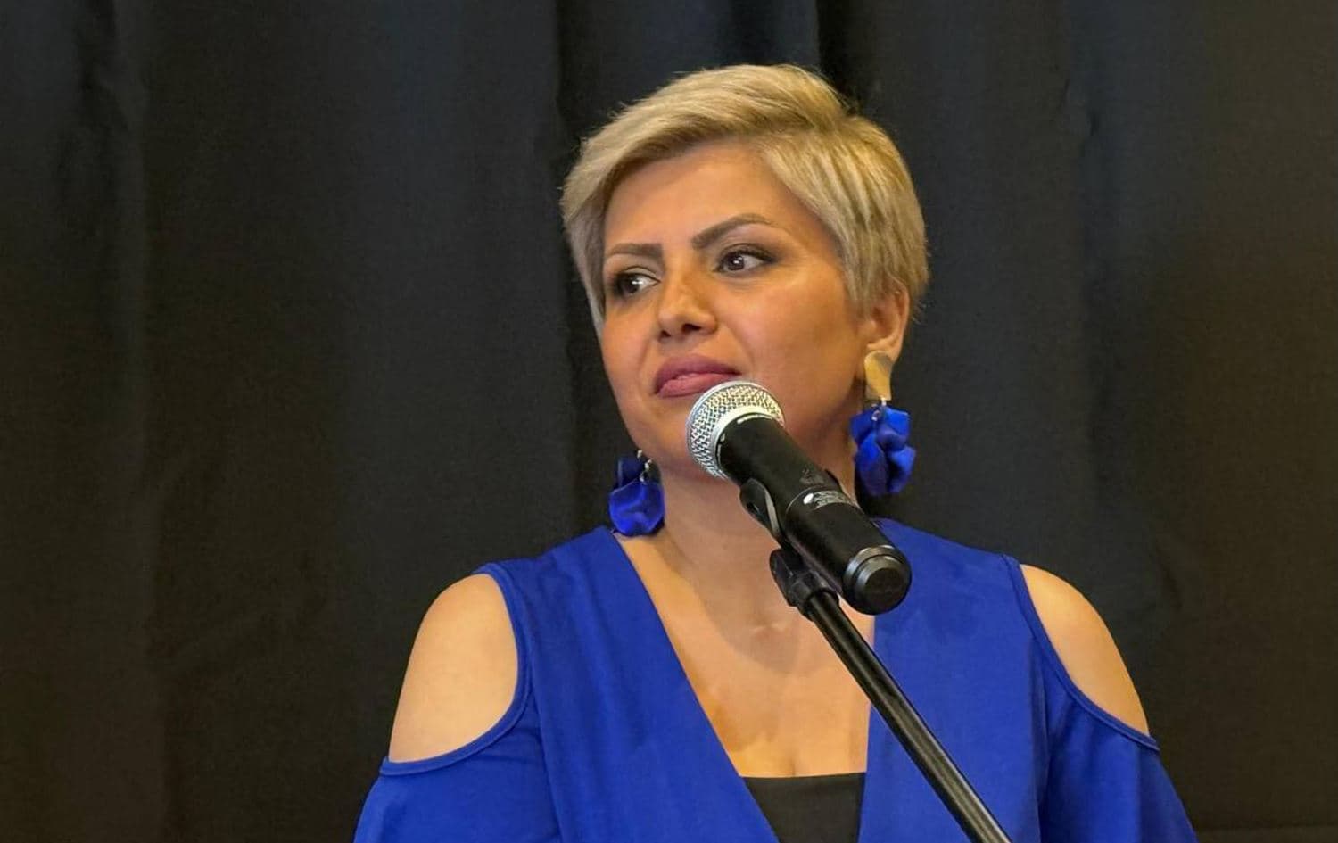 هونەرمەند شەیدا قەوامی لە رێوڕەسمی کردنەوەی ئەکادیمیاکە