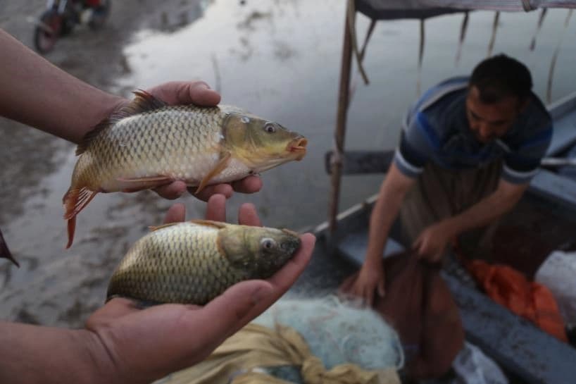 People fishing in the Kurdistan Region. Photo: file/AA