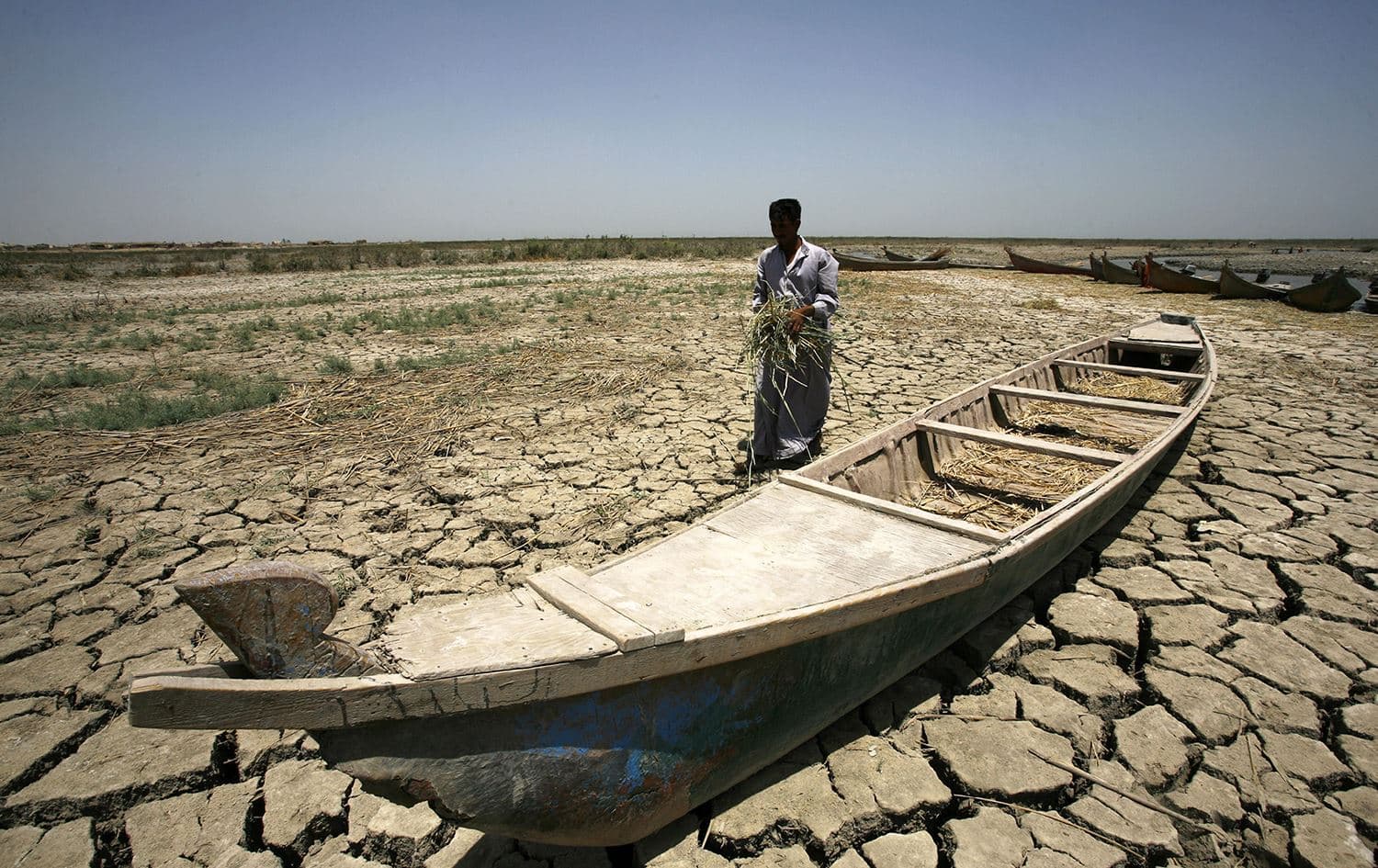 Dry marshes in the southern Dhi Qar province. Photo: Haidar Hamadani/AFP