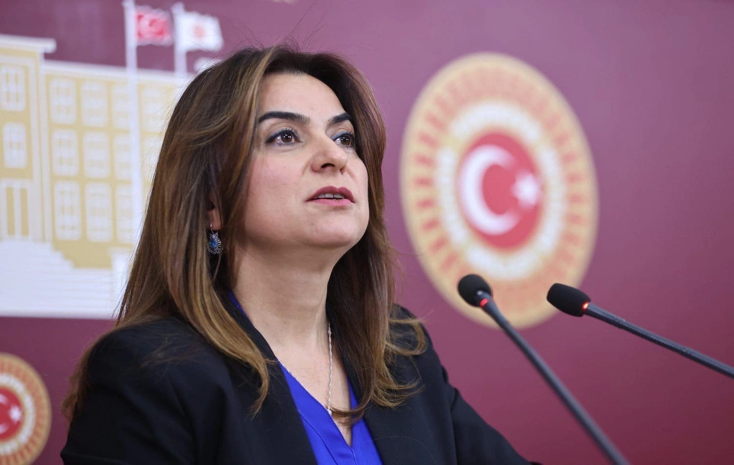 Gulistan Kiliç Koçyîgît /Wêne: DEM Partî