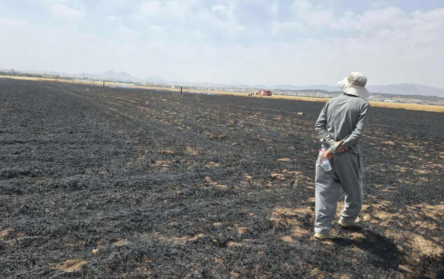 Burned land in Sulaimani province. Photo: Sulaimani directorate of forest and environment police/Facebook