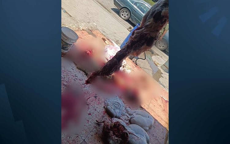 قایمقامیەتی هەولێر ئەم وێنەیەی بڵاوکردەوە و دەڵێت، دەستیان بەسەر گۆشتەکەدا گرتووە و گۆشتفرۆشەکانیش دەستگیرکران.