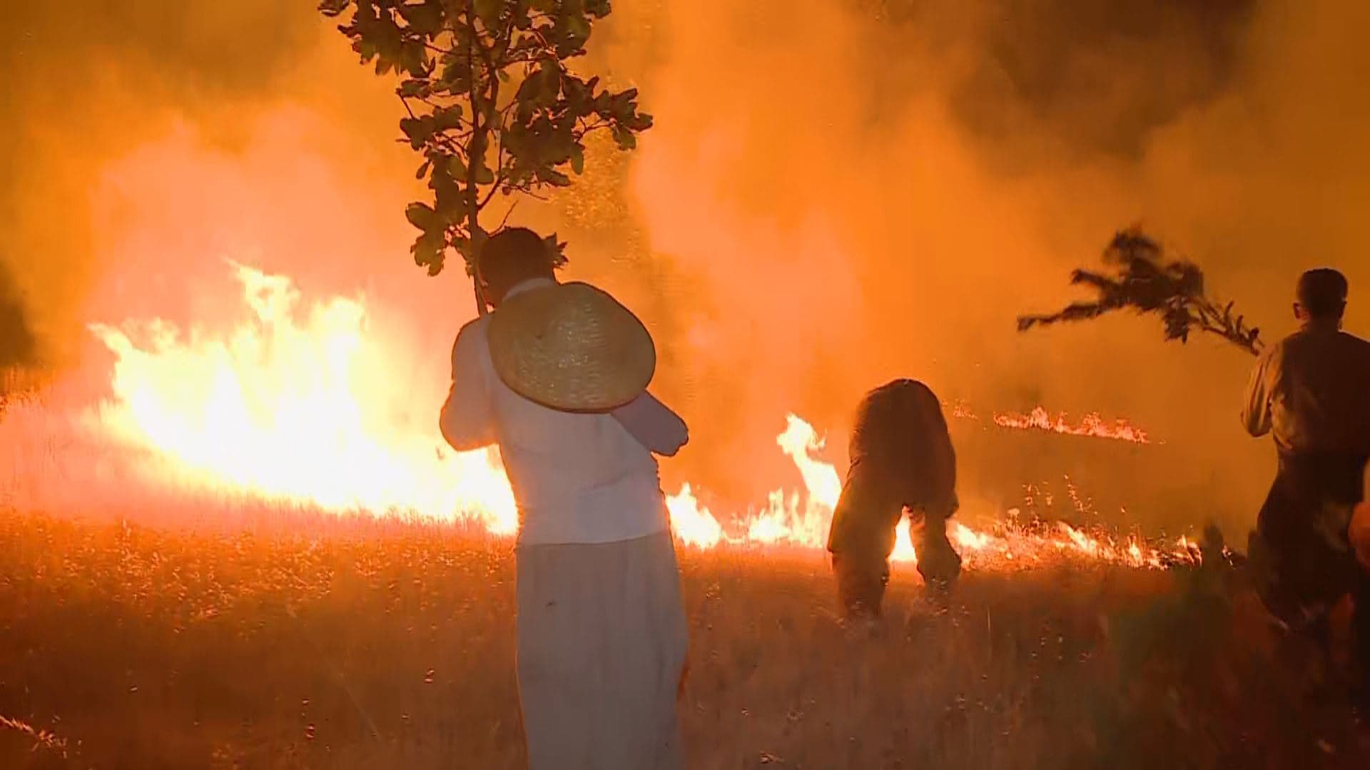 Fire in Sulaimani province's Qaradagh on June 10, 2025. Photo: screengrab/Rudaw 
