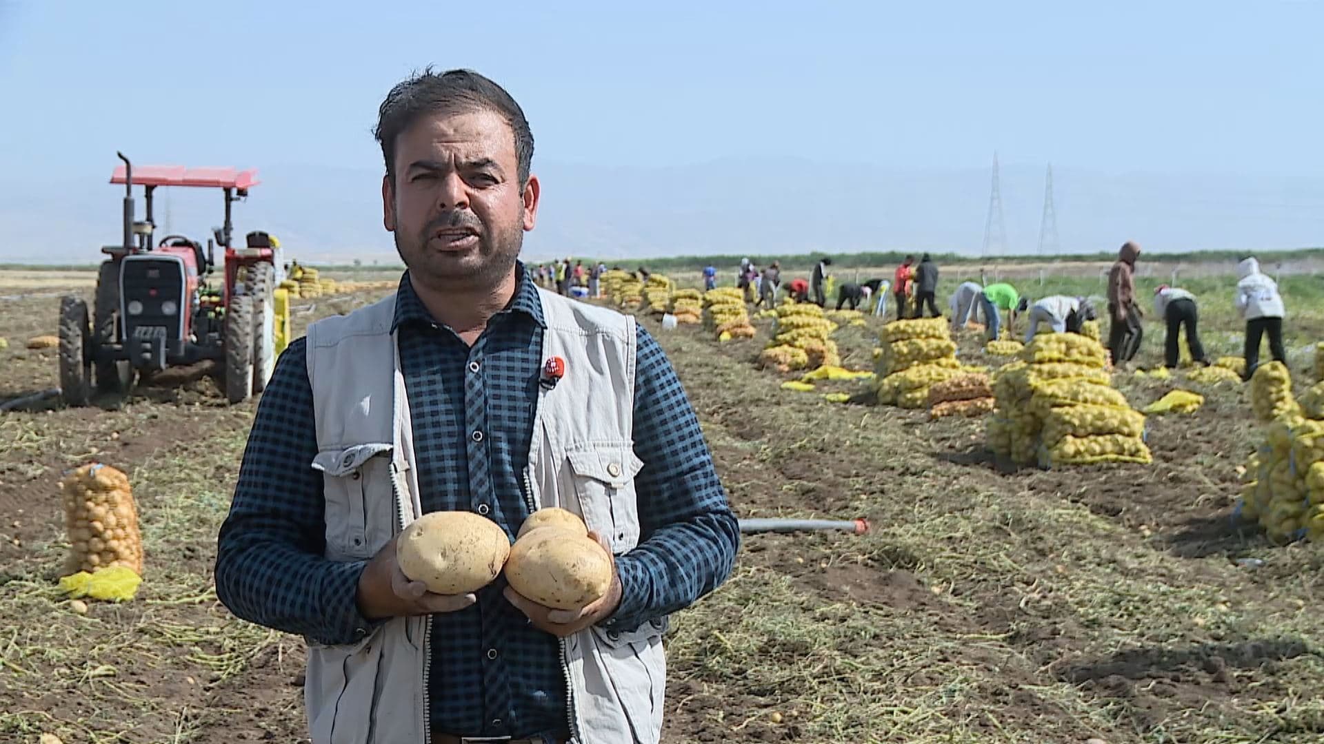 Bashir Jalal, a dedicated potato farmer from Duhok province pictured on June 28, 2025. Photo: Screengrab/Rudaw