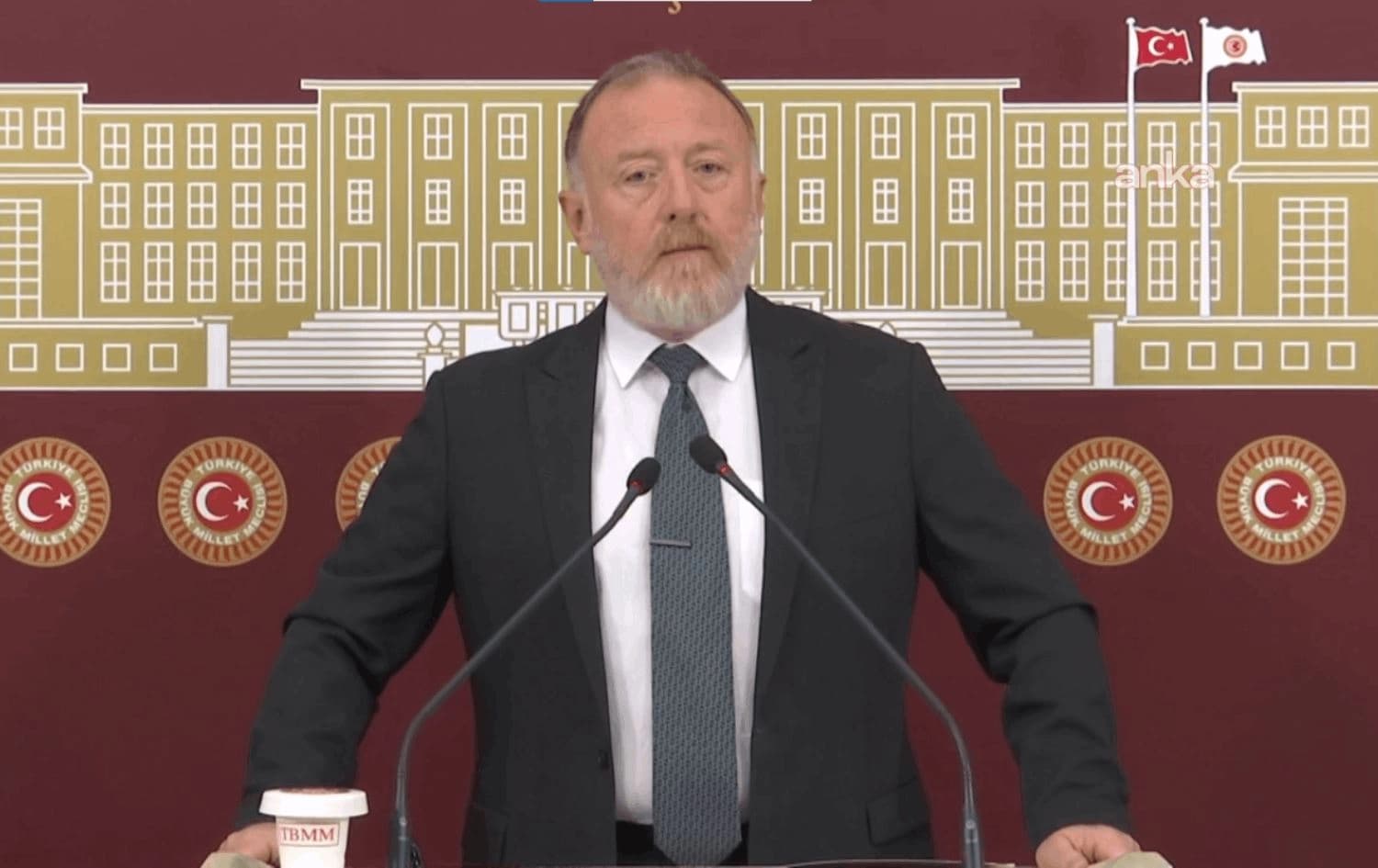 DEM Parti Grup Başkanvekili Sezai Temelli