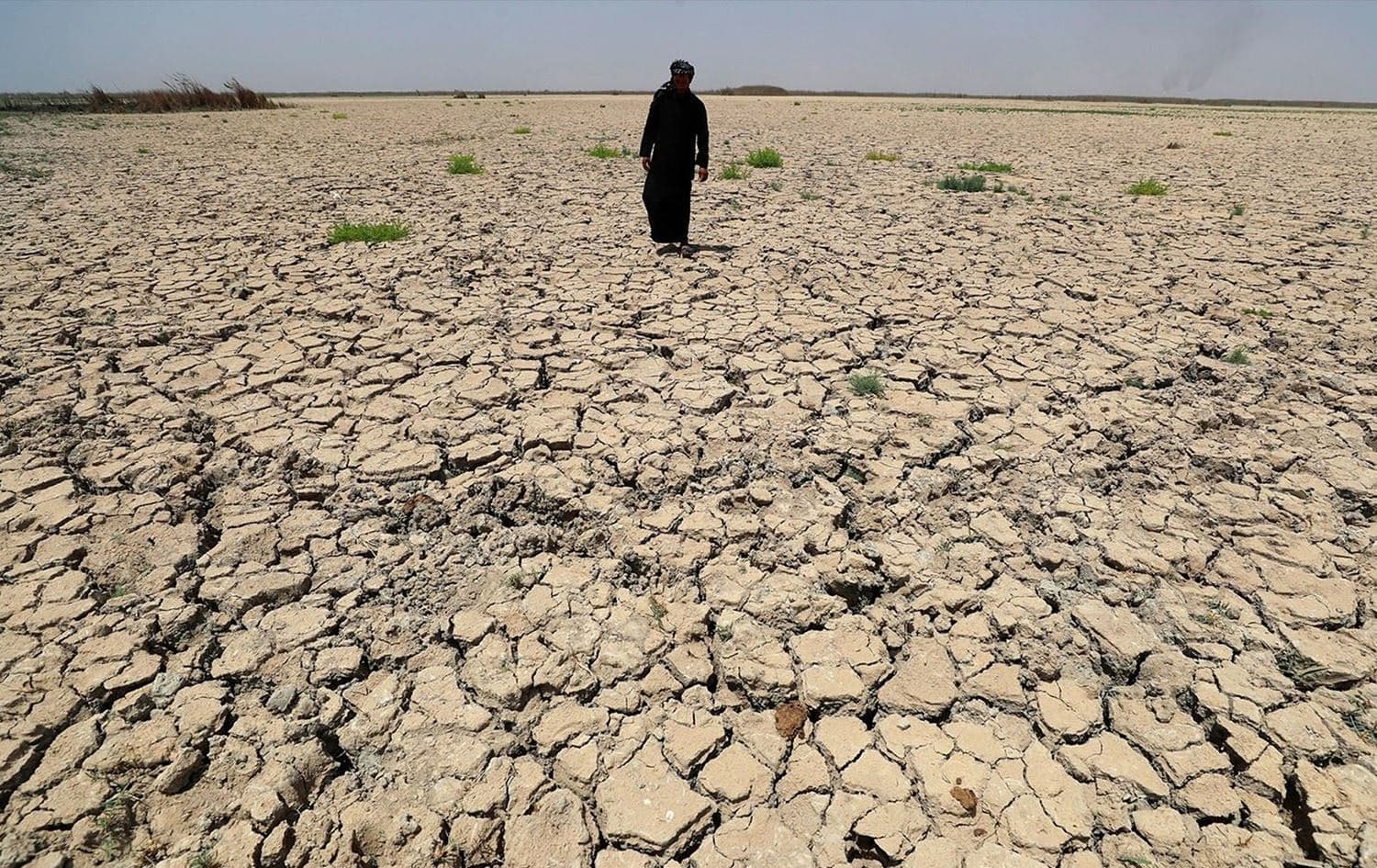 A man walks on cracked and dried up soil in the Hawiza marsh near the city of al-Amarah in southern Iraq on July 27, 2022. Photo: Ahmad al-Rubaye/AFP