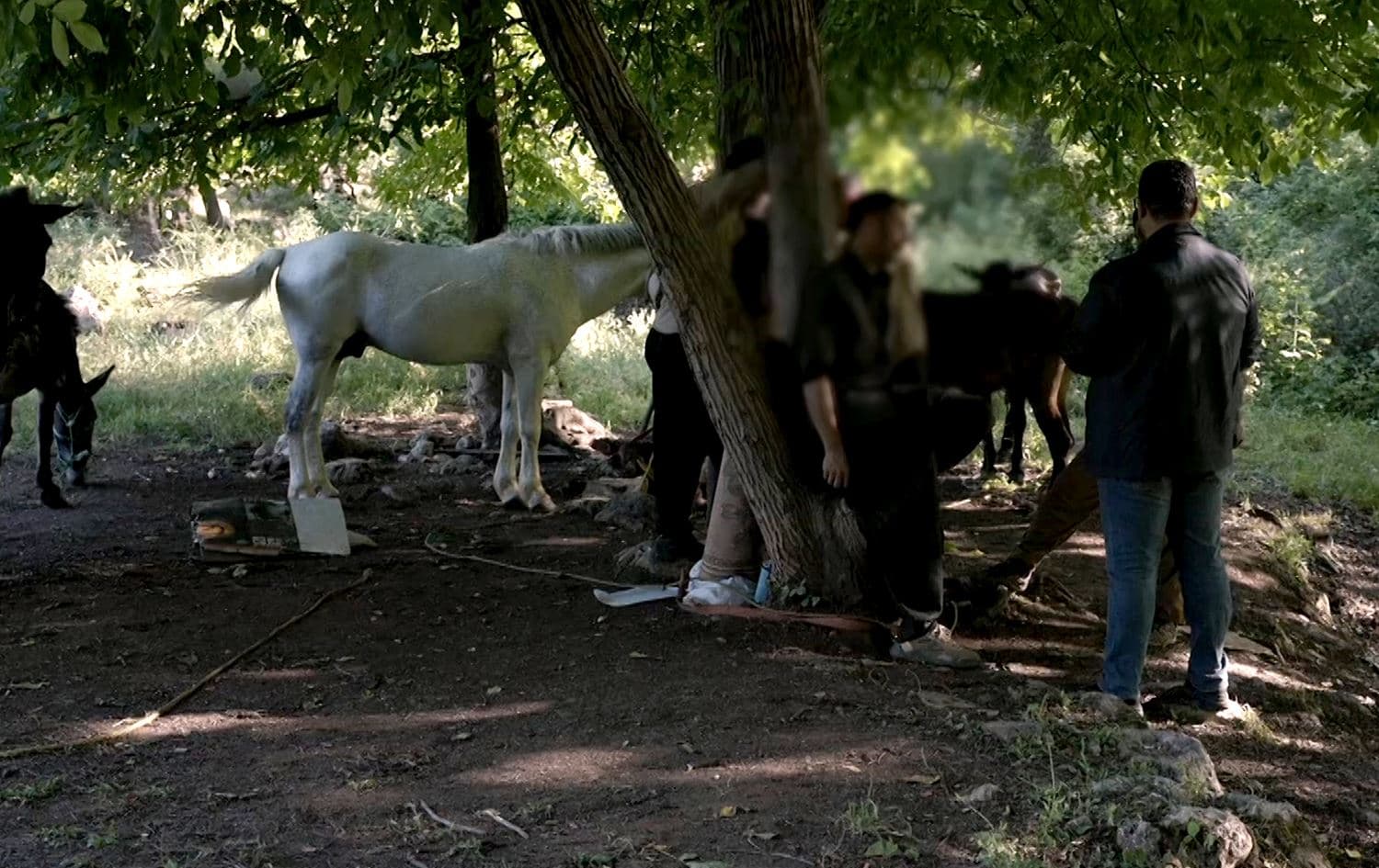 Unfinished Stories: PKK disarmament  