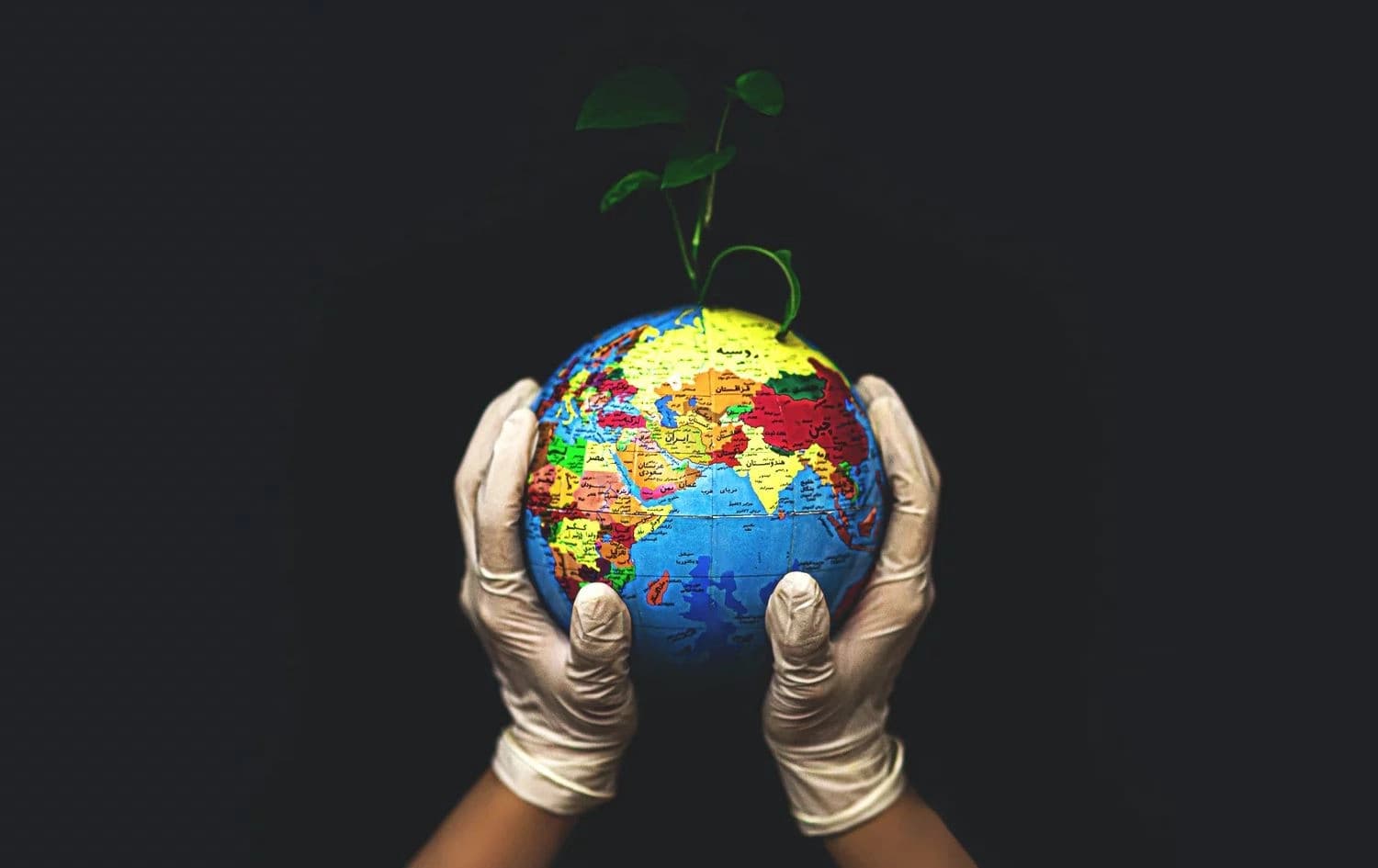 گرافیکێک دەریدەخات درەختێک لەسەر زەوی سەوز بووە. پێناسەی توانای زەوی دەکات. 