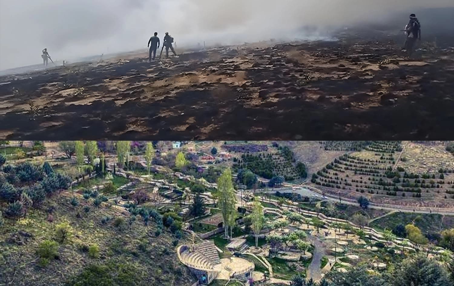 The Abidar Natural Park before and after the fire. Photos: IRNA
