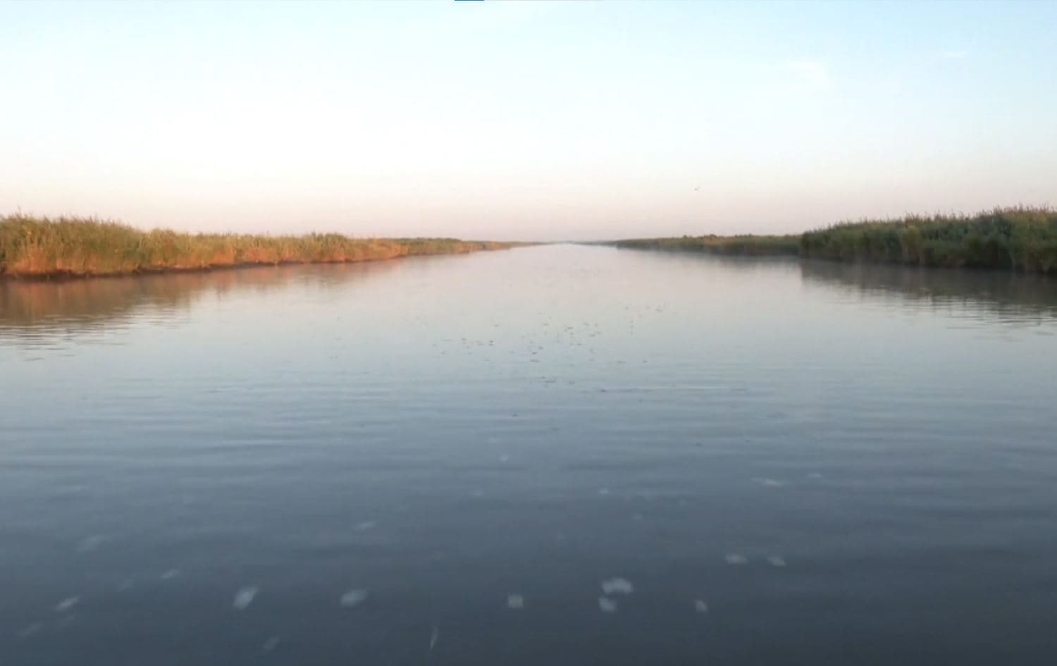زۆنگاوێکی فەرەنسا