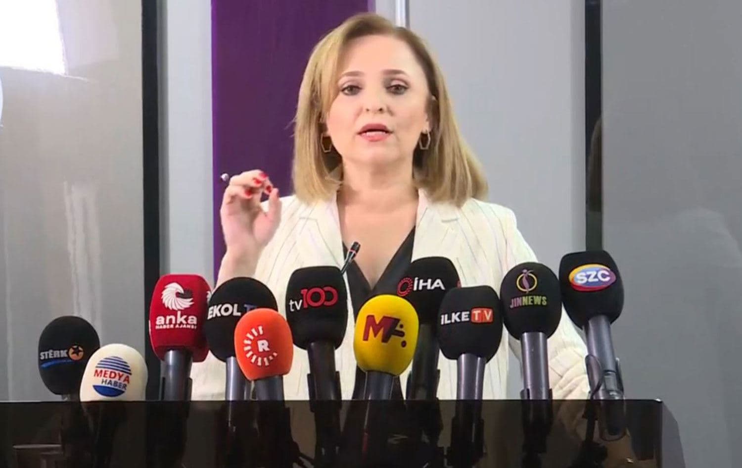 Ayşegül Doğan basın toplantısı düzenledi. / Video alıntısı