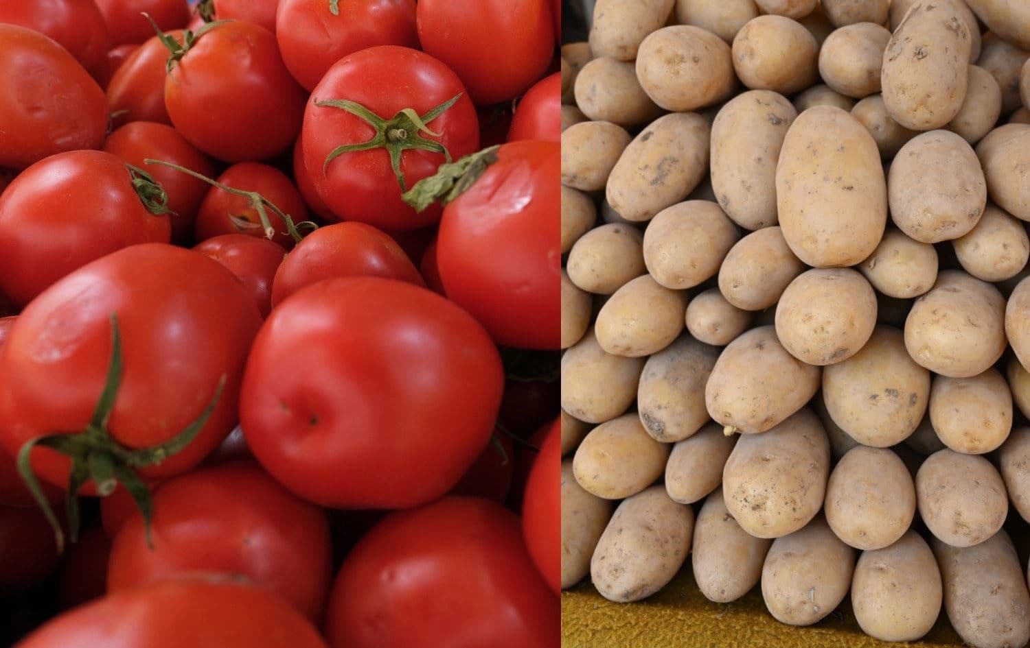 Tomatoes and potatoes in Erbil's wholesale market. Photos: Bilind T. Abdullah/Rudaw