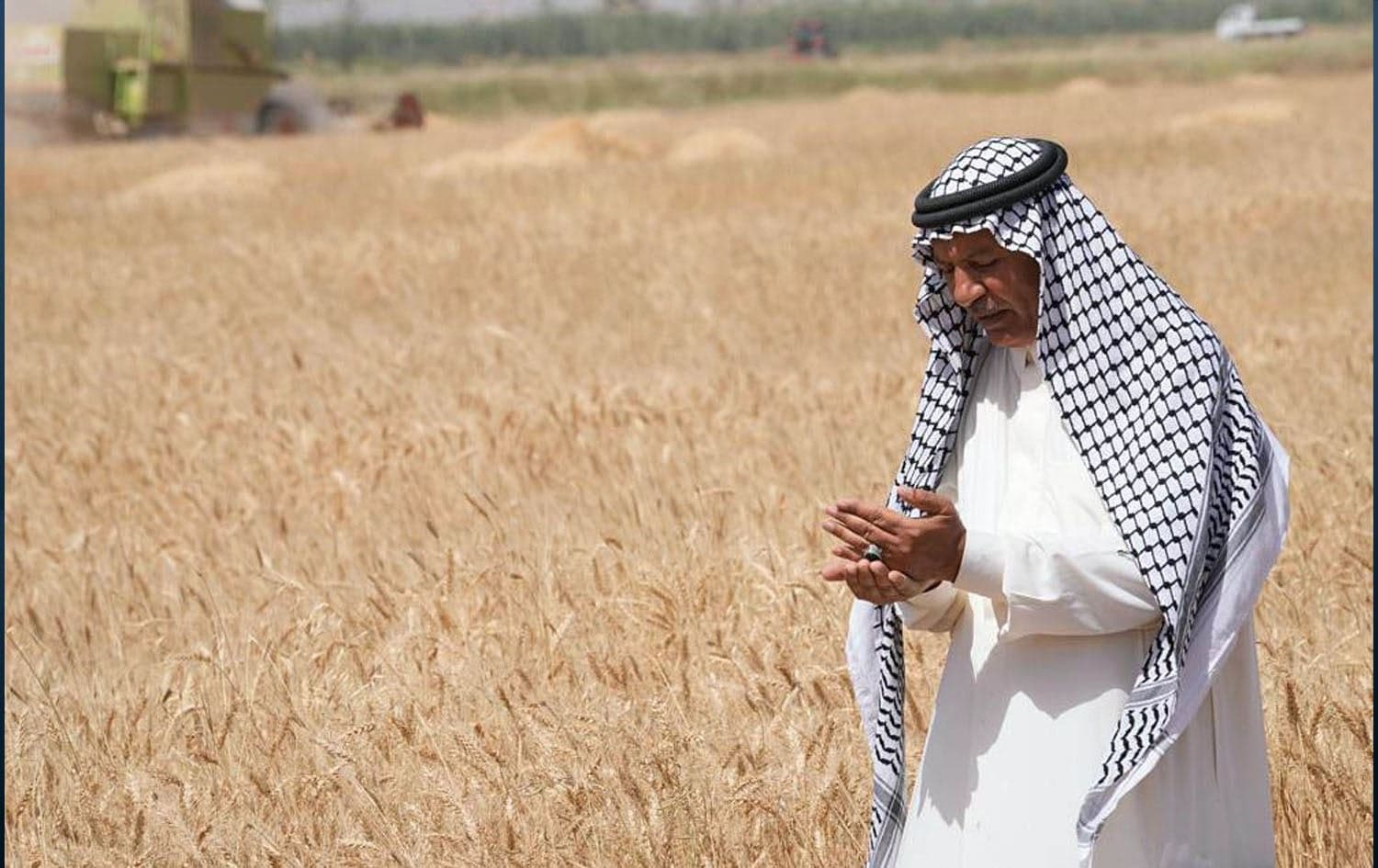 A farmer standing in his field in Yousifiyah, Iraq, on May 24, 2022. Photo: Hadi Mizban/AP