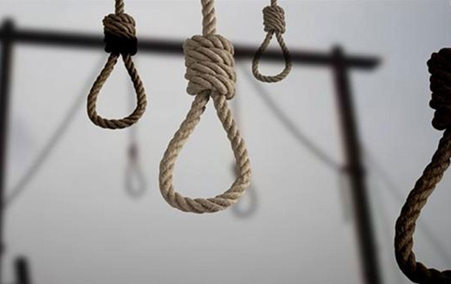 İnsan hakları örgütleri, artan idamlar karşısında uluslararası topluma “acil müdahale” çağrısı yaptı