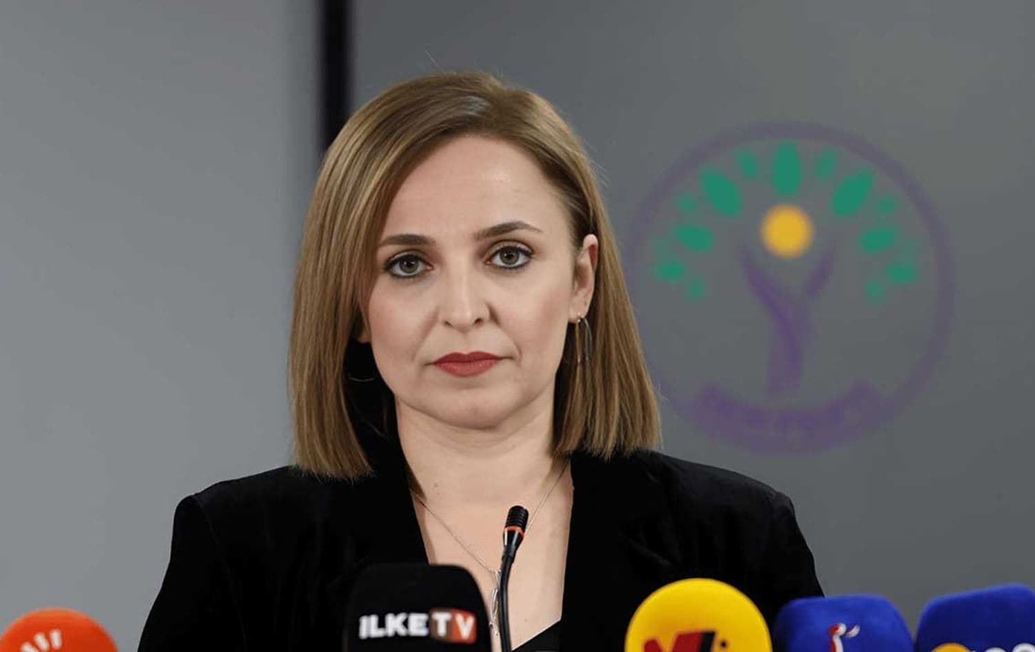 ئایشەگوڵ دۆغان، گوتەبێژی دەم پارتی