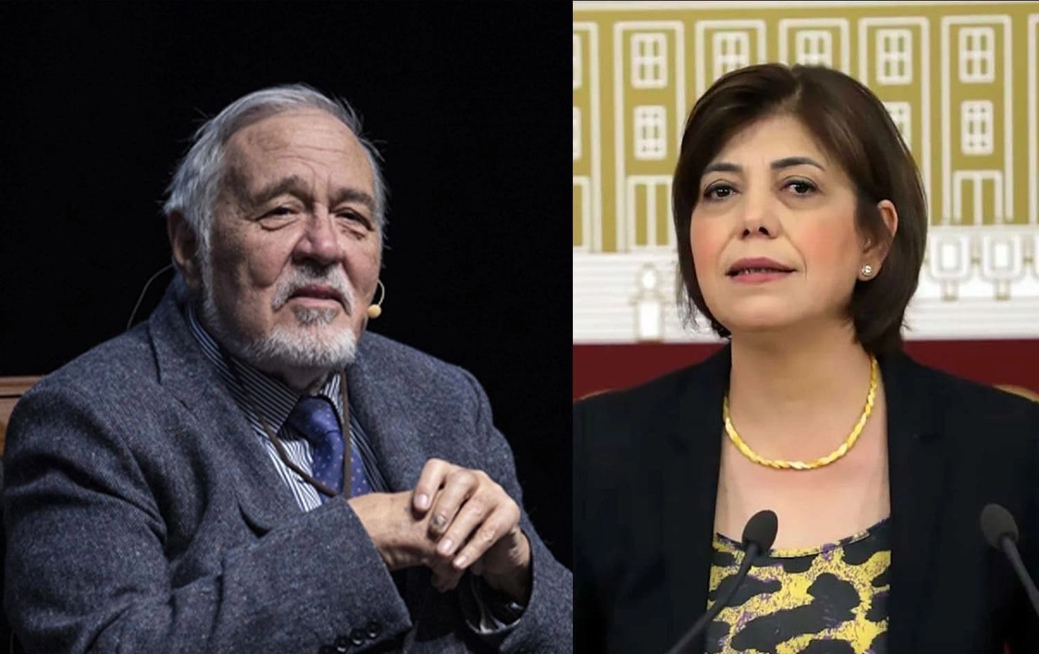 Prof. Dr. İlber Ortaylı ve DEM Parti Milletvekili Meral Danış Beştaş