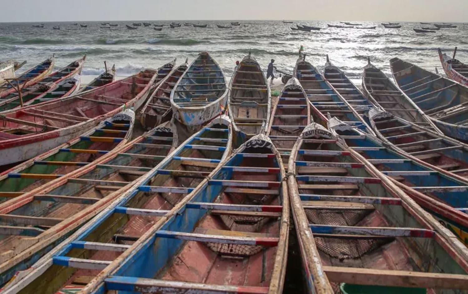  پیرۆگێس، بەلەمی نەریتیی ماسیگرتنی لە دار دروستکراون، زۆرجار لەلایەن ئەو کۆچبەرانەوە بەکاردەهێنرێت کە هەوڵدەدەن زەریای ئەتڵەسی ببڕن بۆ ئەوەی بگەنە دوورگەکانی کەناری لە ئیسپانیا. وێنە: AA/ Getty Images