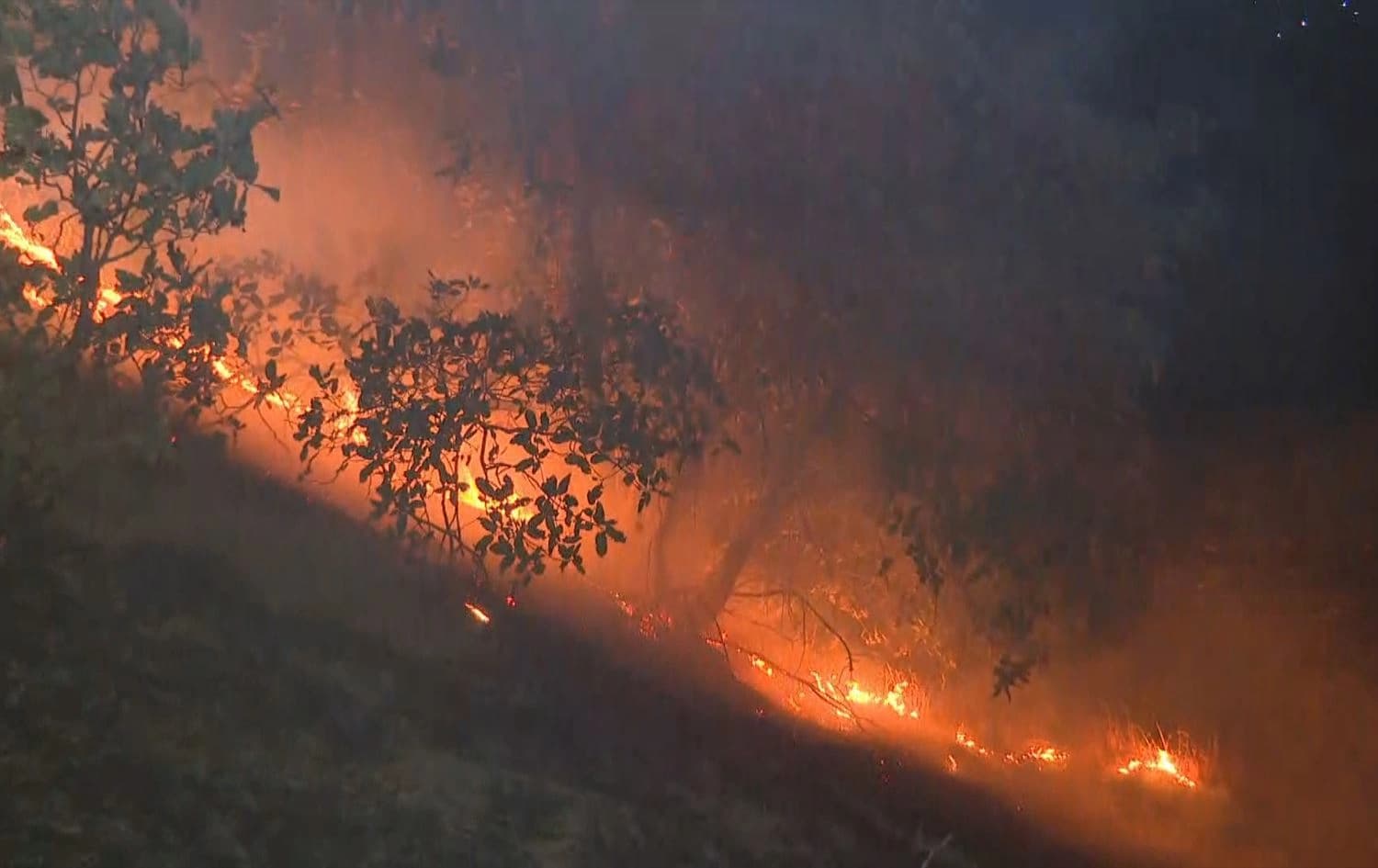 Wildfires in Sulaimani's Penjwen district on August 29, 2025. Photo: Rudaw