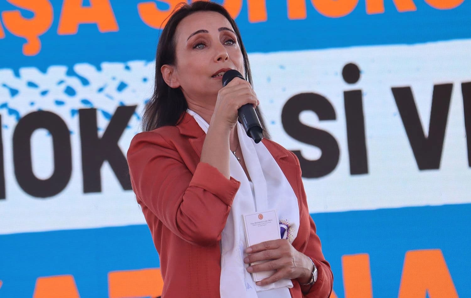 DEM Parti Eş Genel Başkanı Tülay Hatimoğulları, İstanbul'da düzenlenen "1 Eylül Dünya Barış Günü Mitingi"nde konuşma yaptı. / AA
