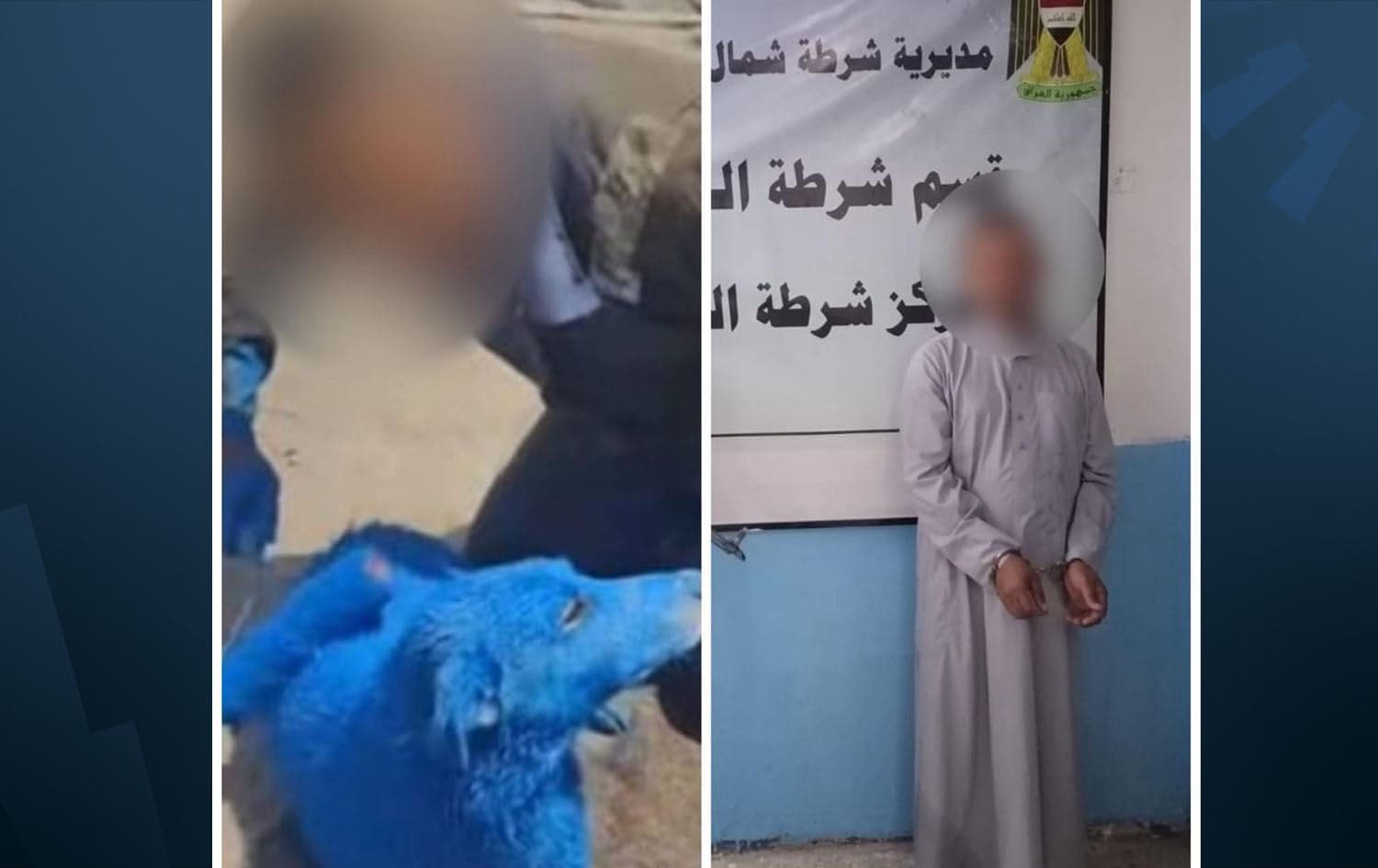 Haidar al-Aboud, arrested for painting a stray dog blue in Basra on August 31, 2025. Photo: Basra police/Facebook