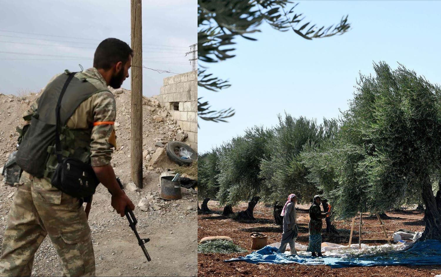 A Syrian militant (left) and some Kurdish farmers in Afrin (right). Photos: AFP. Graphic: Rudaw