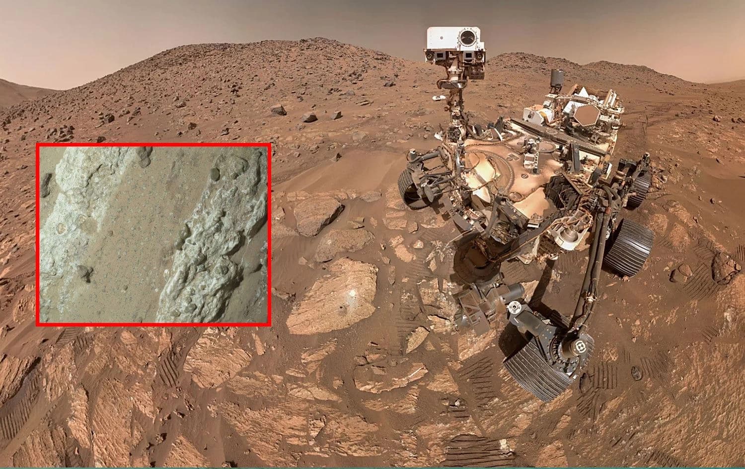 NASA: Mars'ta bulunan leopar benekli kaya, gezegendeki en net yaşam ...