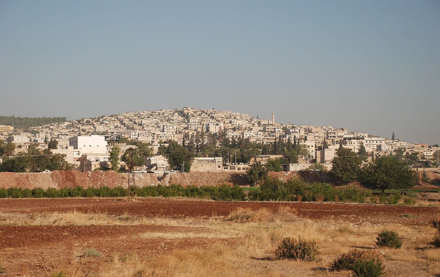 EFRÎN - 'Daristan tên tunekirin û avahî tên lêkirin'