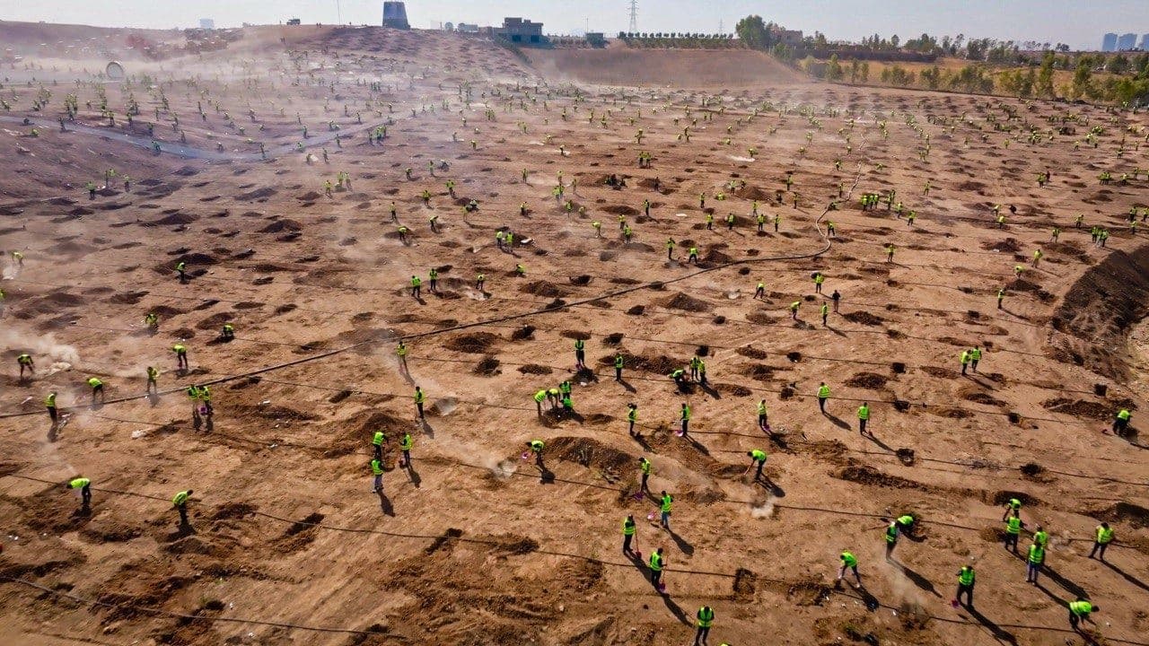 Municipality workers plant trees as Prime Minister Masrour Barzani inaugurated Erbil's major green belt project on Thursday, October 30, 2025. Photo: KRG