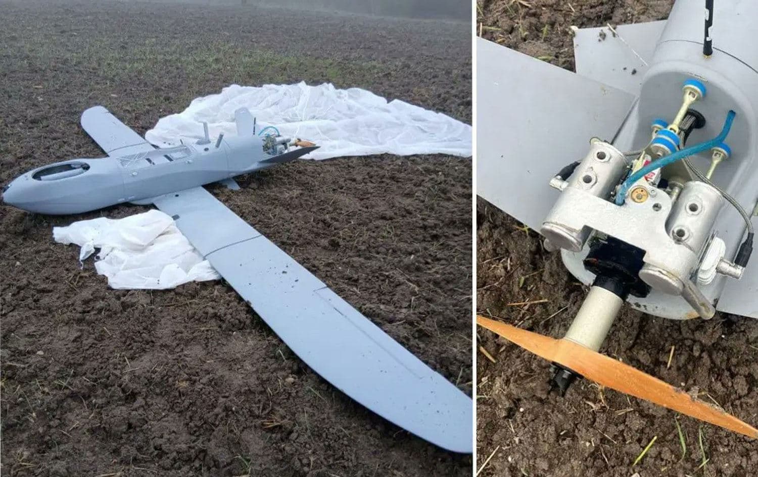Cotkaran li nav zeviyê dronek dît / Wêne: Ajans