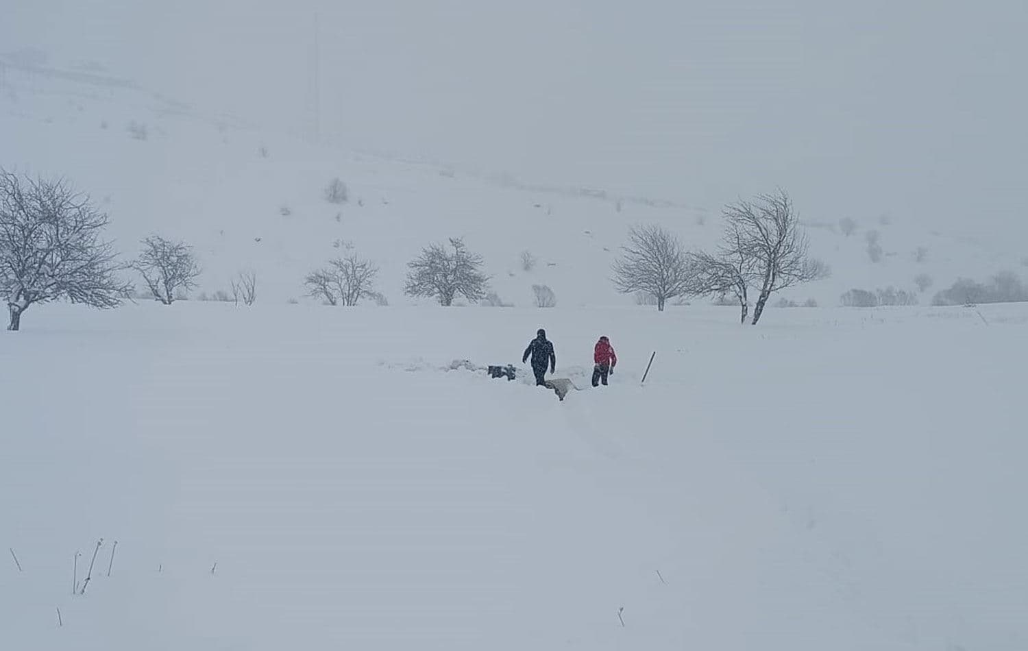 Hakkari'de kar yağışı etkili oldu. / AA