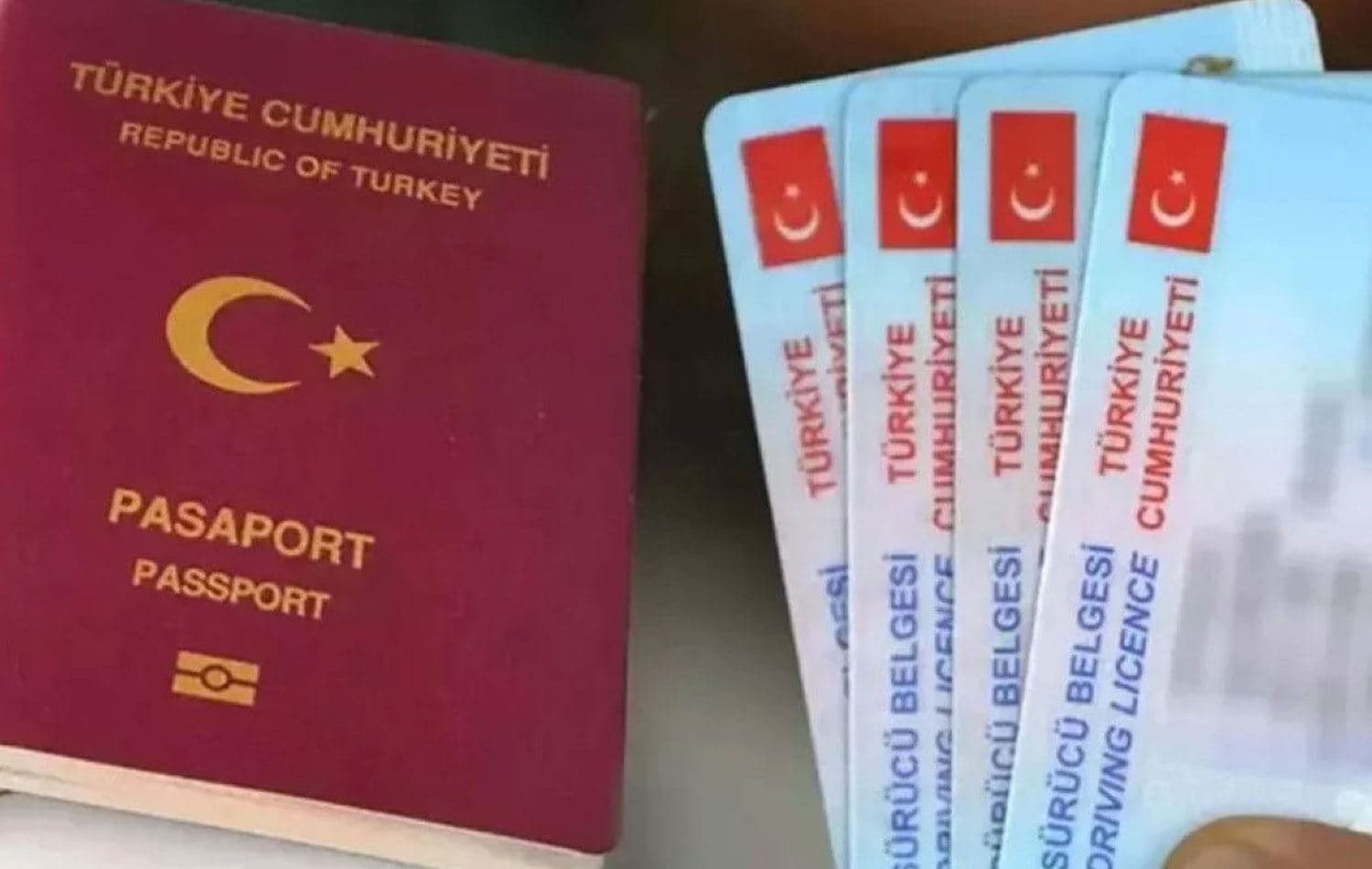 Pasaport û ehliyetên Tirkiyeyê / Wêne: Arşîv