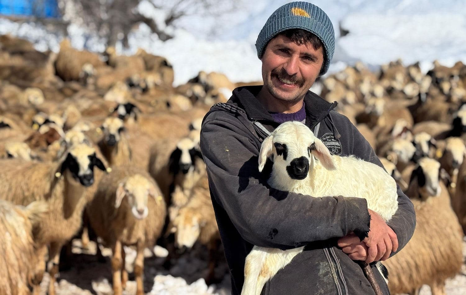 Muğla Üniversitesi Sosyal Bilgiler Öğretmenliği Bölümü'nden mezun olan Dersim Çakan, öğretmen olarak atanamayınca hayvancılık yapmaya başladı. / Foto: Ali Haydar Gözlü / Rûdaw
