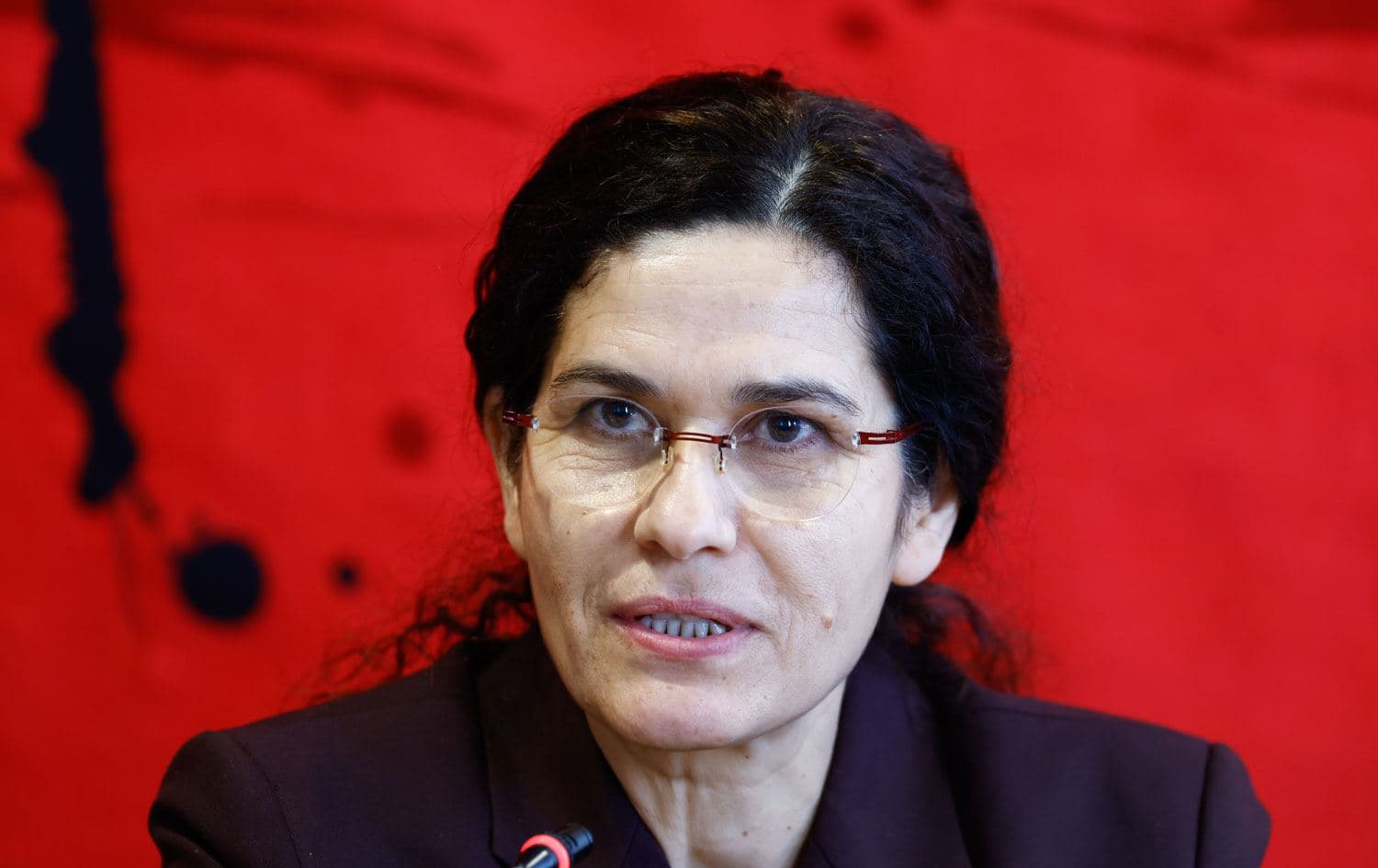 Özerk Yönetim Dış İlişkiler Dairesi Eş Başkanı İlham Ahmed