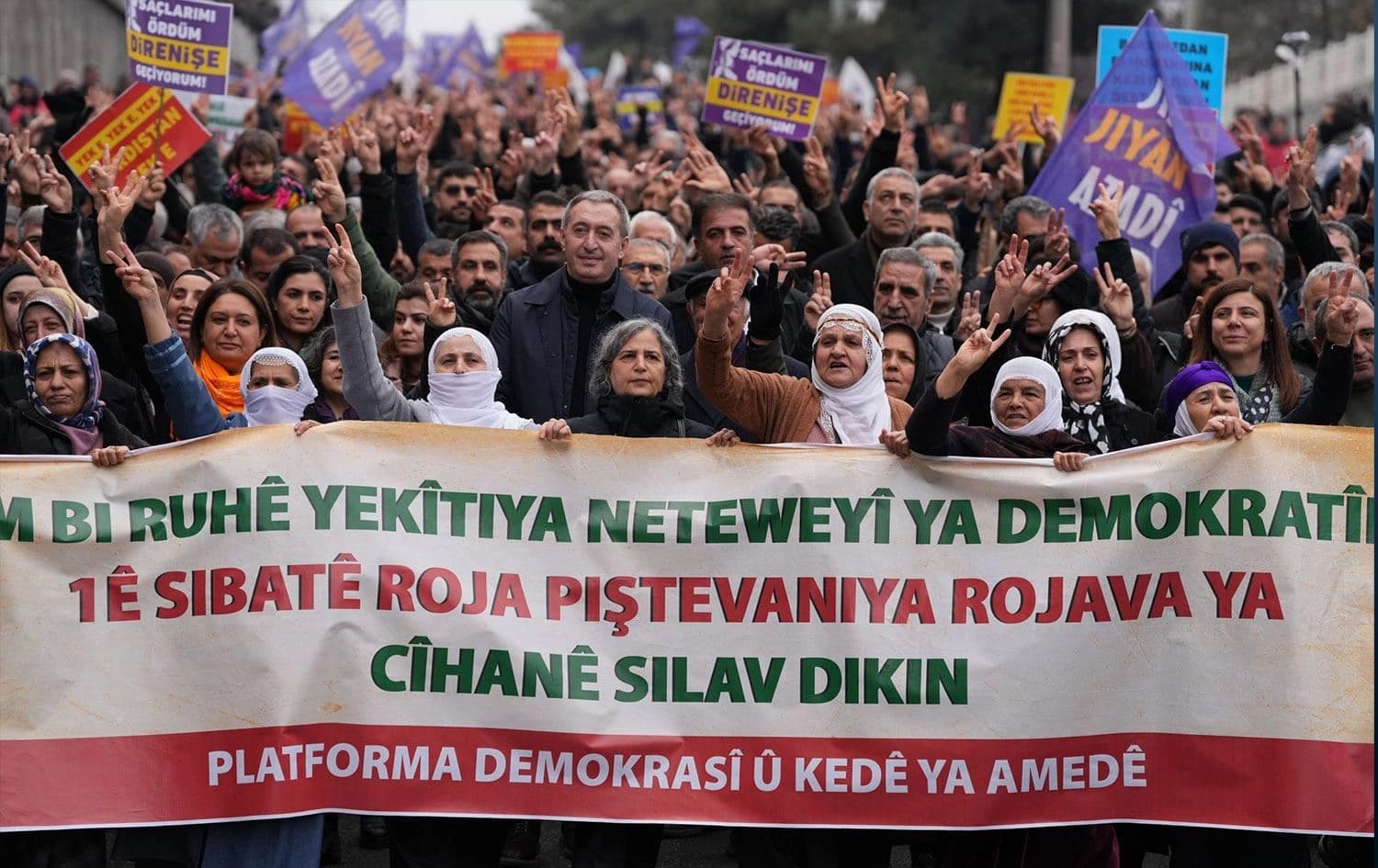 Meşa ji bo Rojavayê Kurdistanê / Wêne: DEM Partî