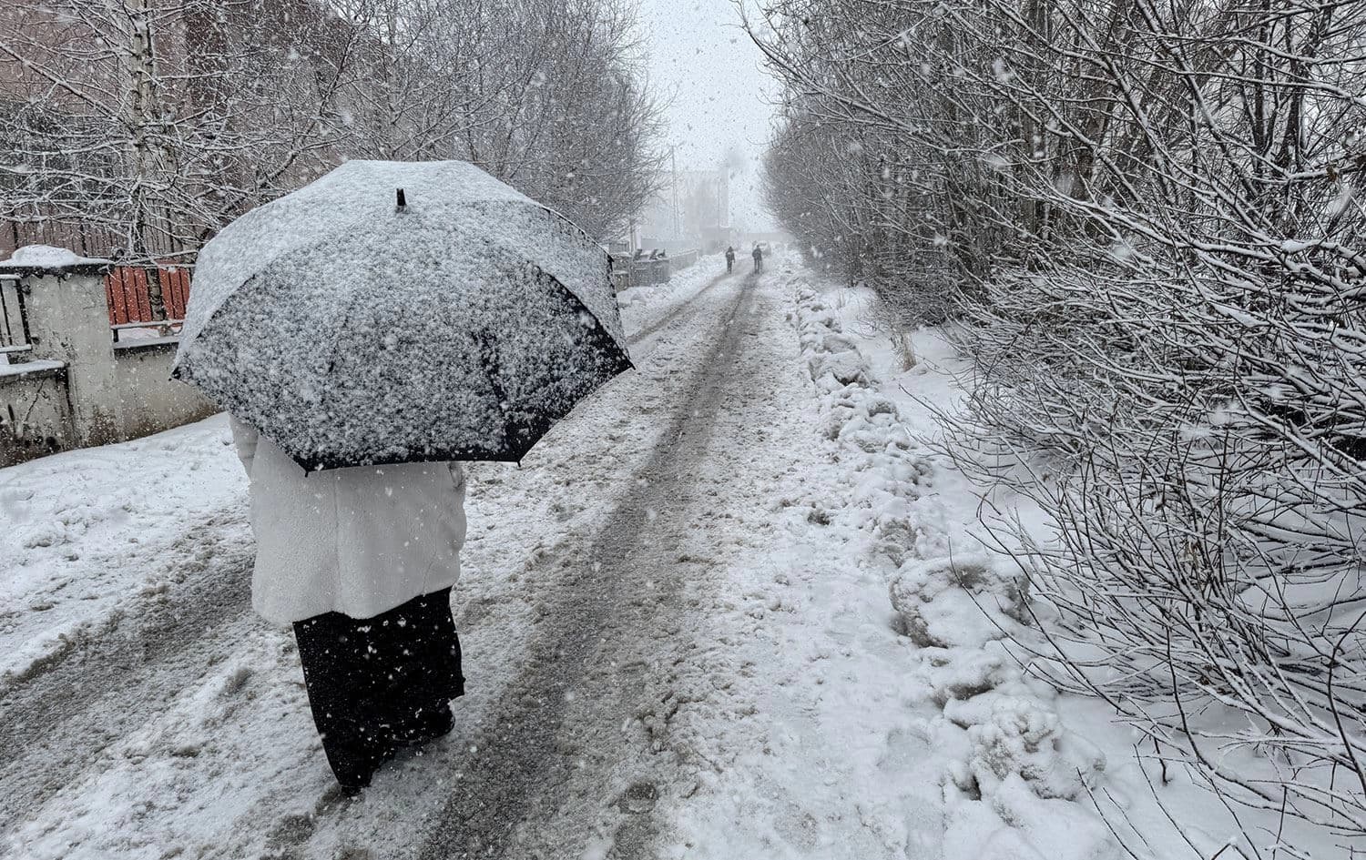 Ardahan'da kar yağışı Foto: AA