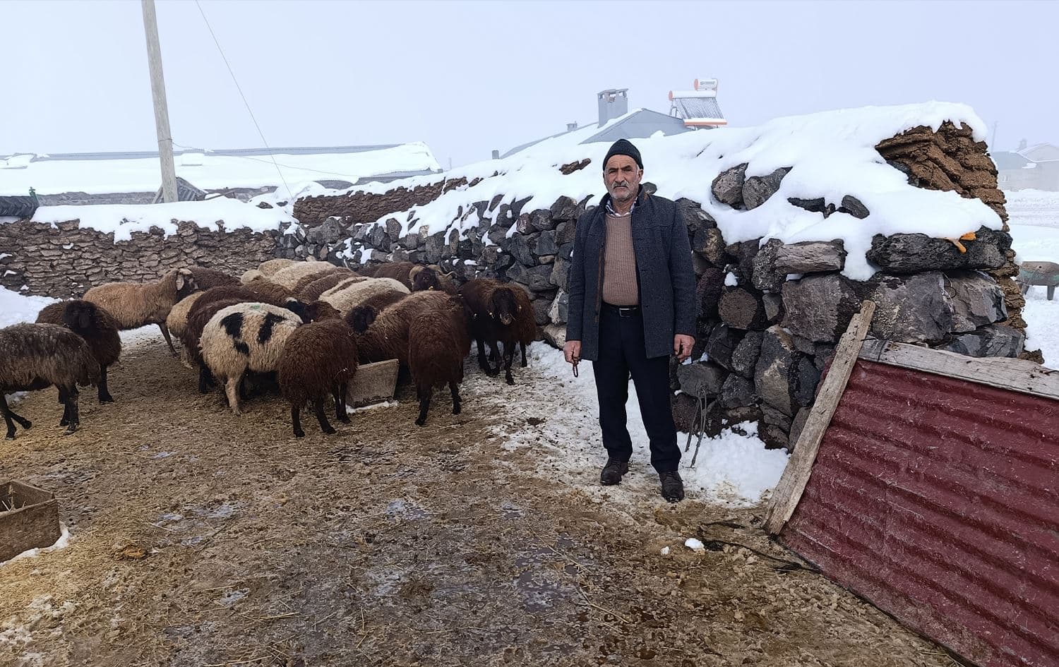 Xwediyê pez Alî Canpolat