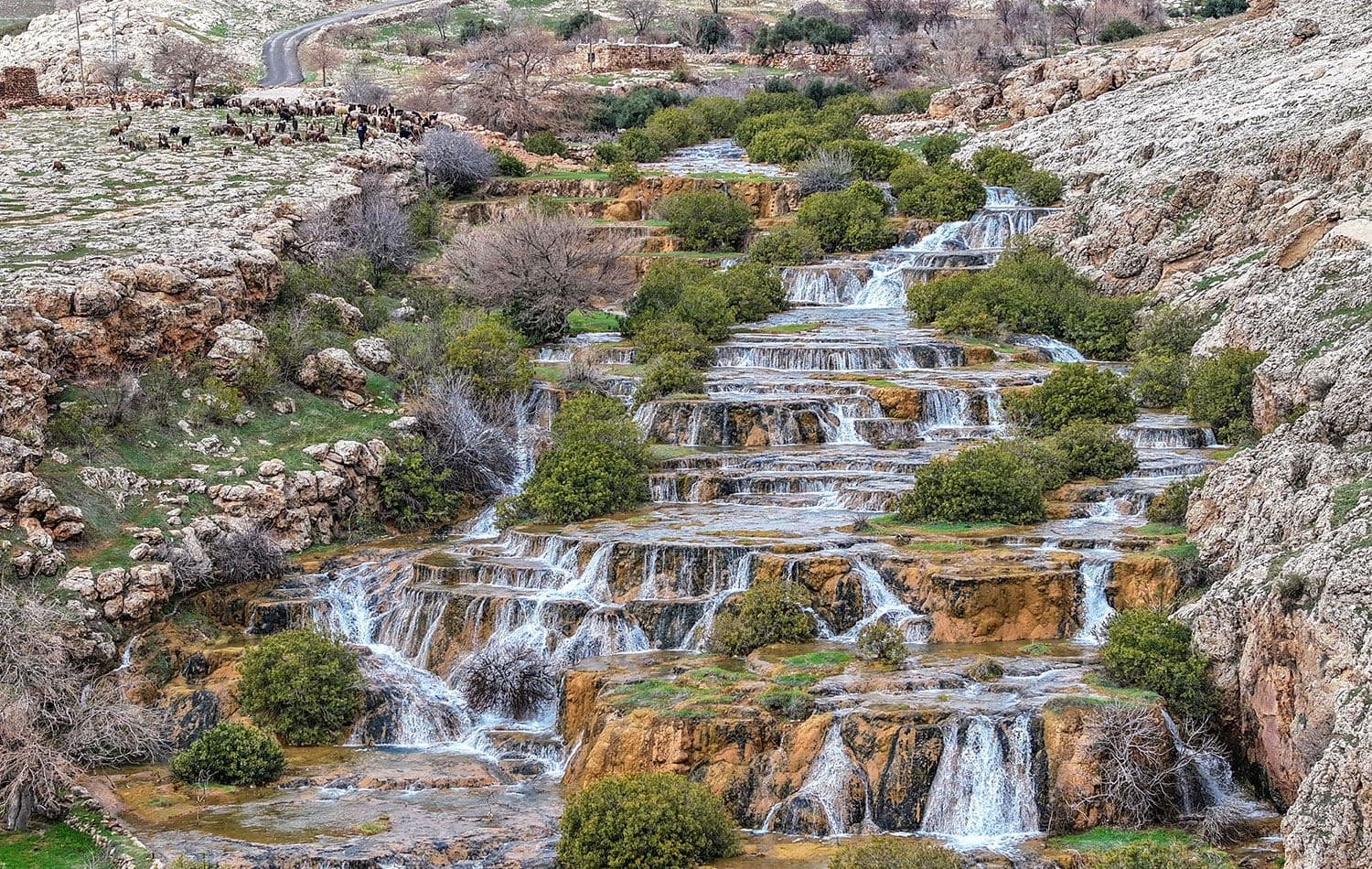 Mardin'in Kızıltepe ilçesinde geçmiş yıllarda yağış azlığı ve kuraklık nedeniyle kuruyan, bu yıl ise yağışlarla yeninden canlanan yörede "Emrud travertenleri" olarak bilinen su kaynağı çağlayanlar ve şelaleler oluşturarak akıyor. / AA